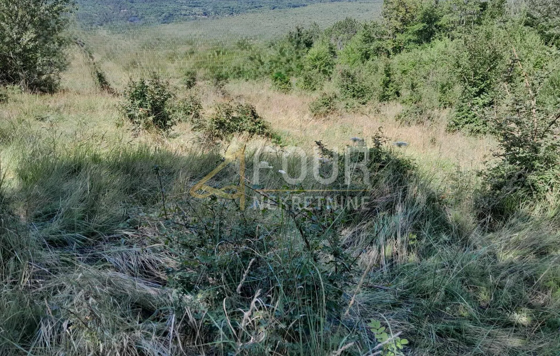 istra, buzet, građevinsko zemljište, 1.601m2 - slika 3