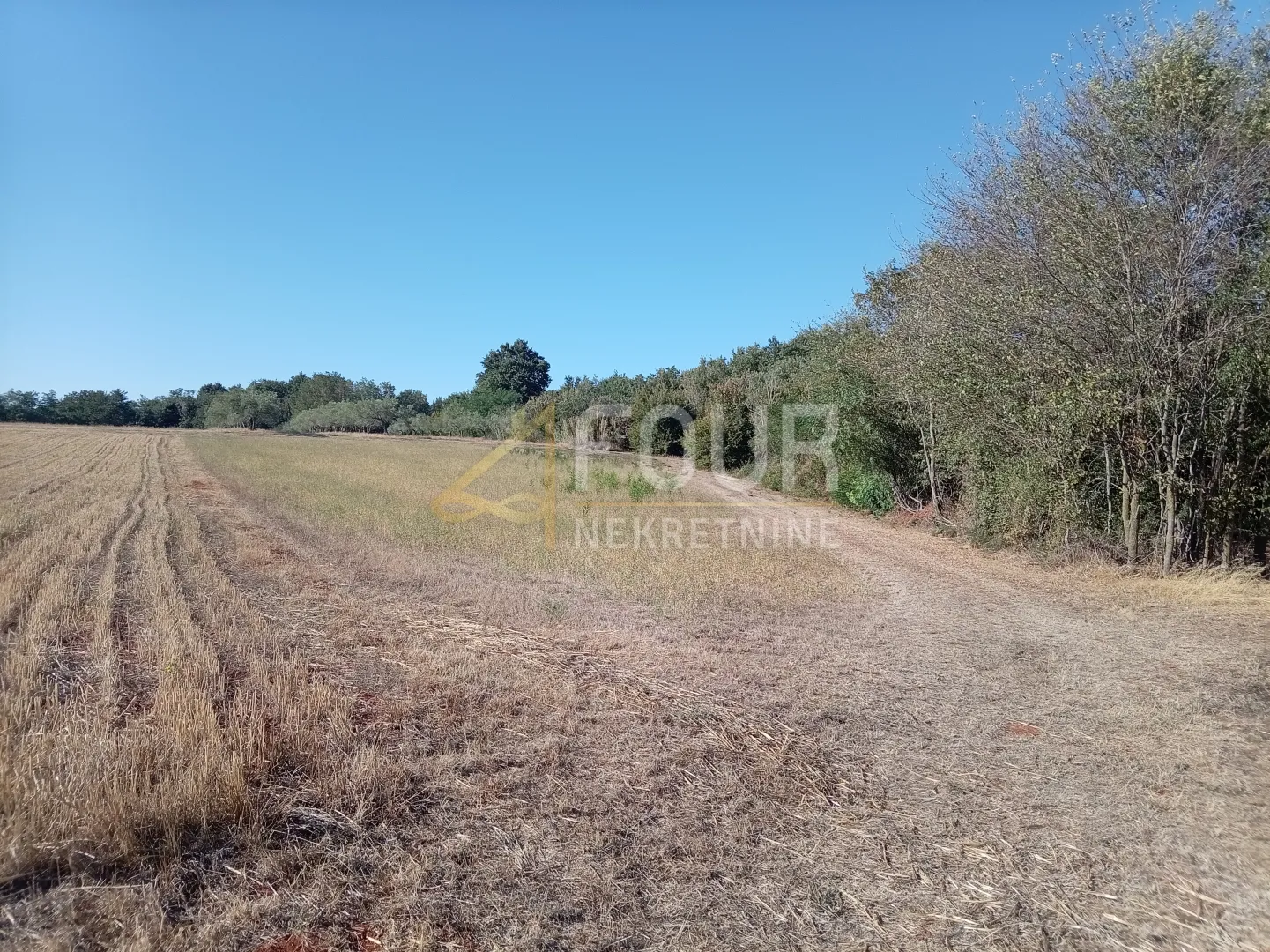 istra, umag - okolica, poljoprivredno zemljište, 12.535m2 - slika 2