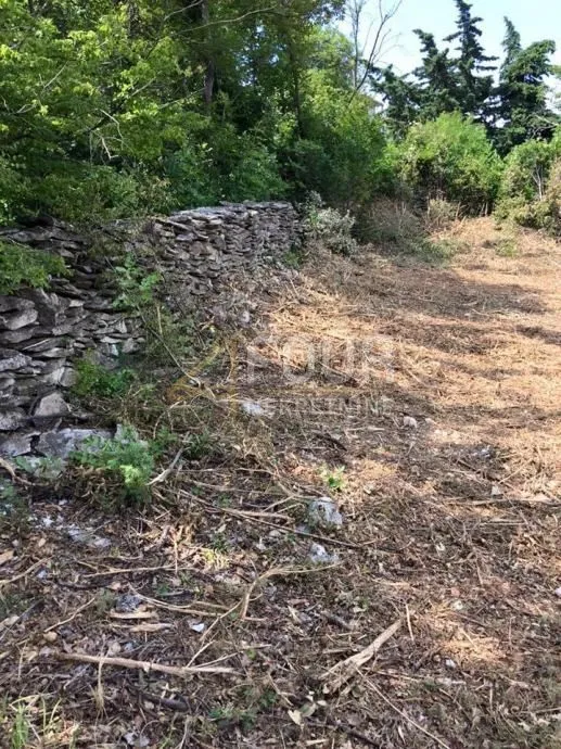 istra, labin, građevinsko zemljište 2.936m2 - slika 2