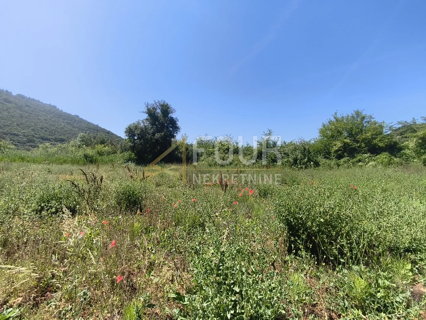 istra, valtura, poljoprivredno zemljište 14500m2 - slika 2