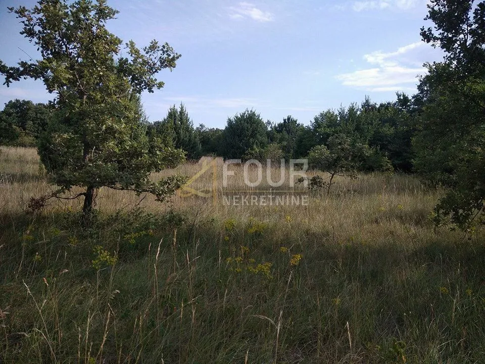 Istra, Svetvinčenat, poljoprivredno zemljište 1.840m2
