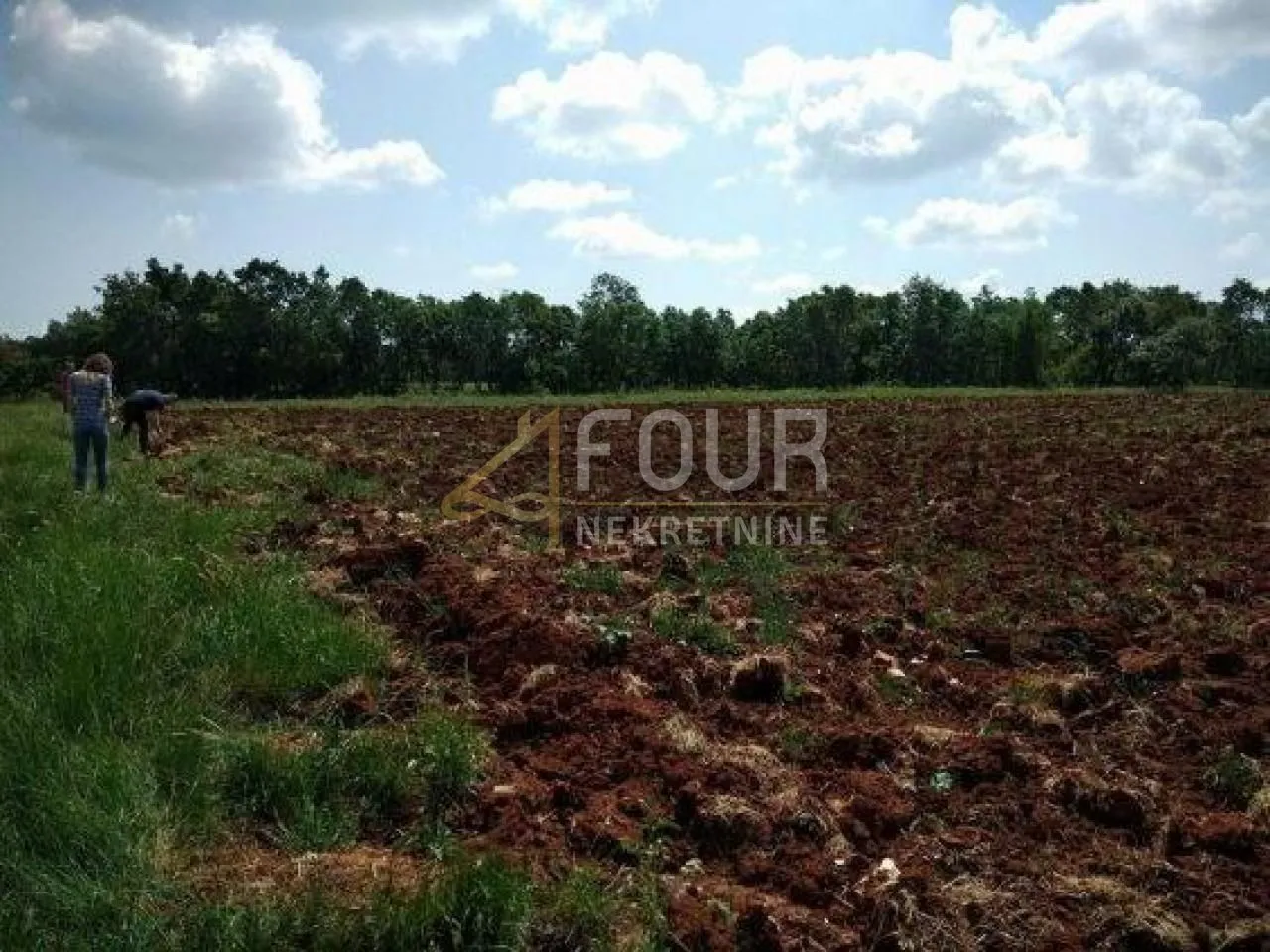istra, svetvinčenat, poljoprivredno zemljište 3.820m2 - slika 7