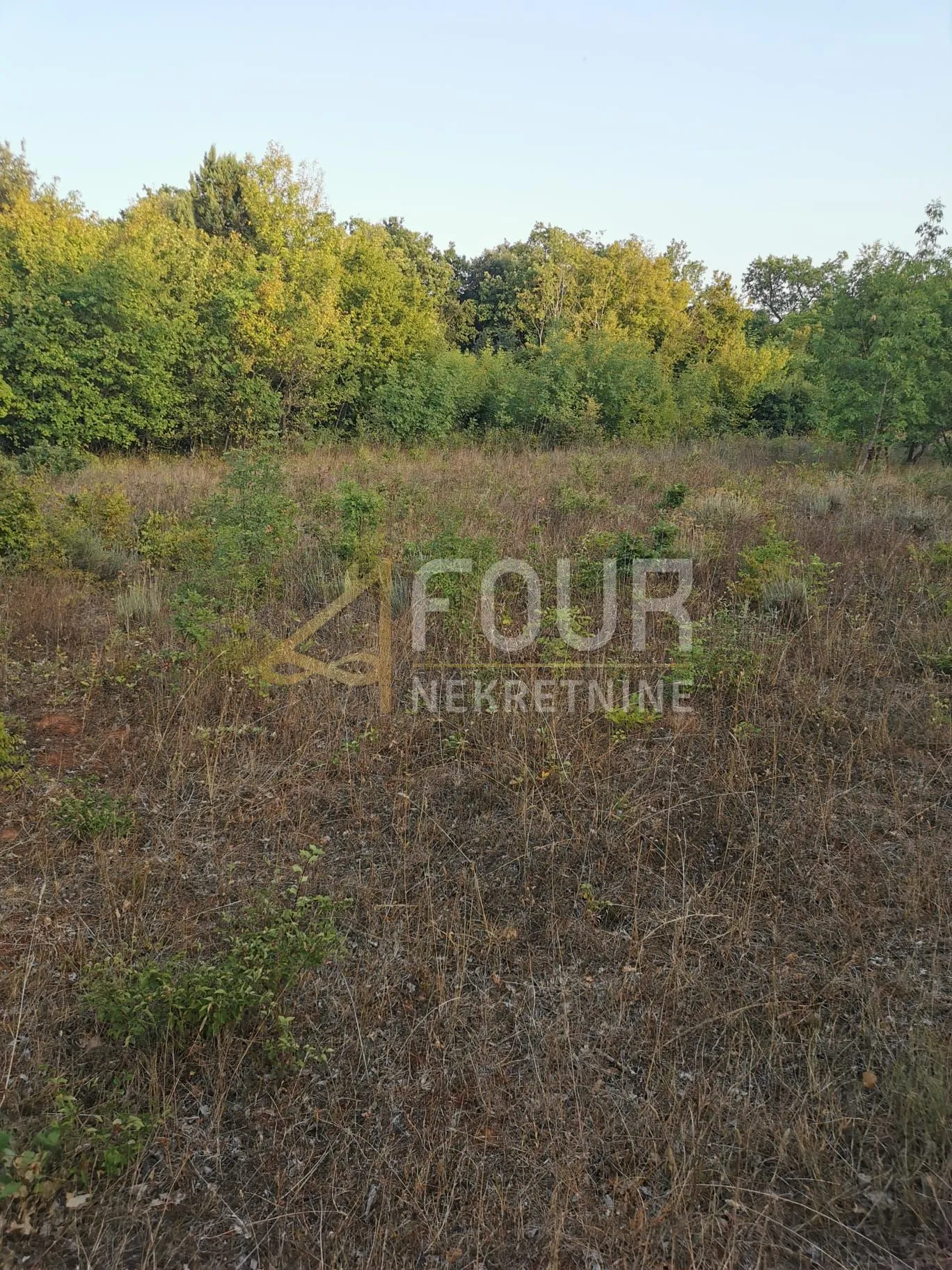 Istra, Valtura, poljoprivredno zemljište 13.248m2 - Valtura, Ližnjan