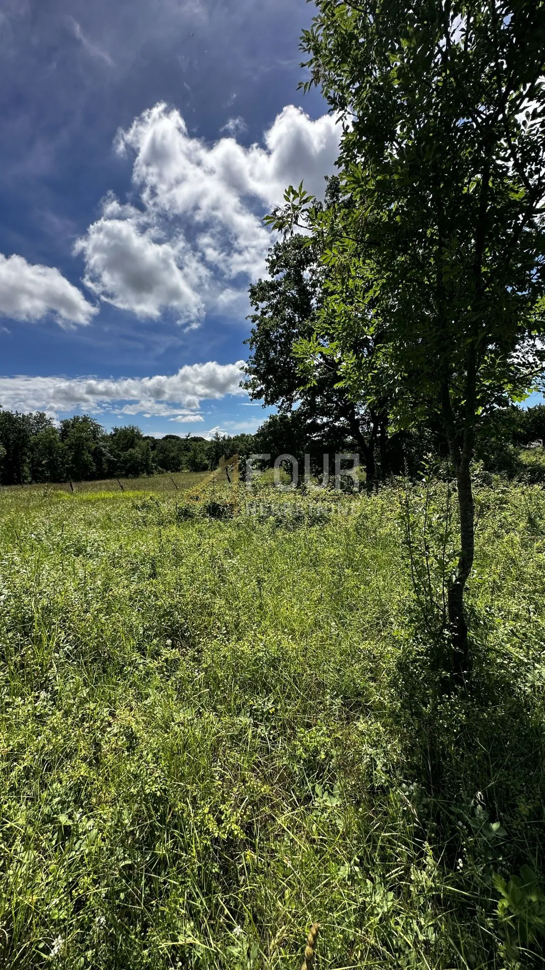 istra, višnjan, građevinsko zemljište, 1080m2 - slika 2