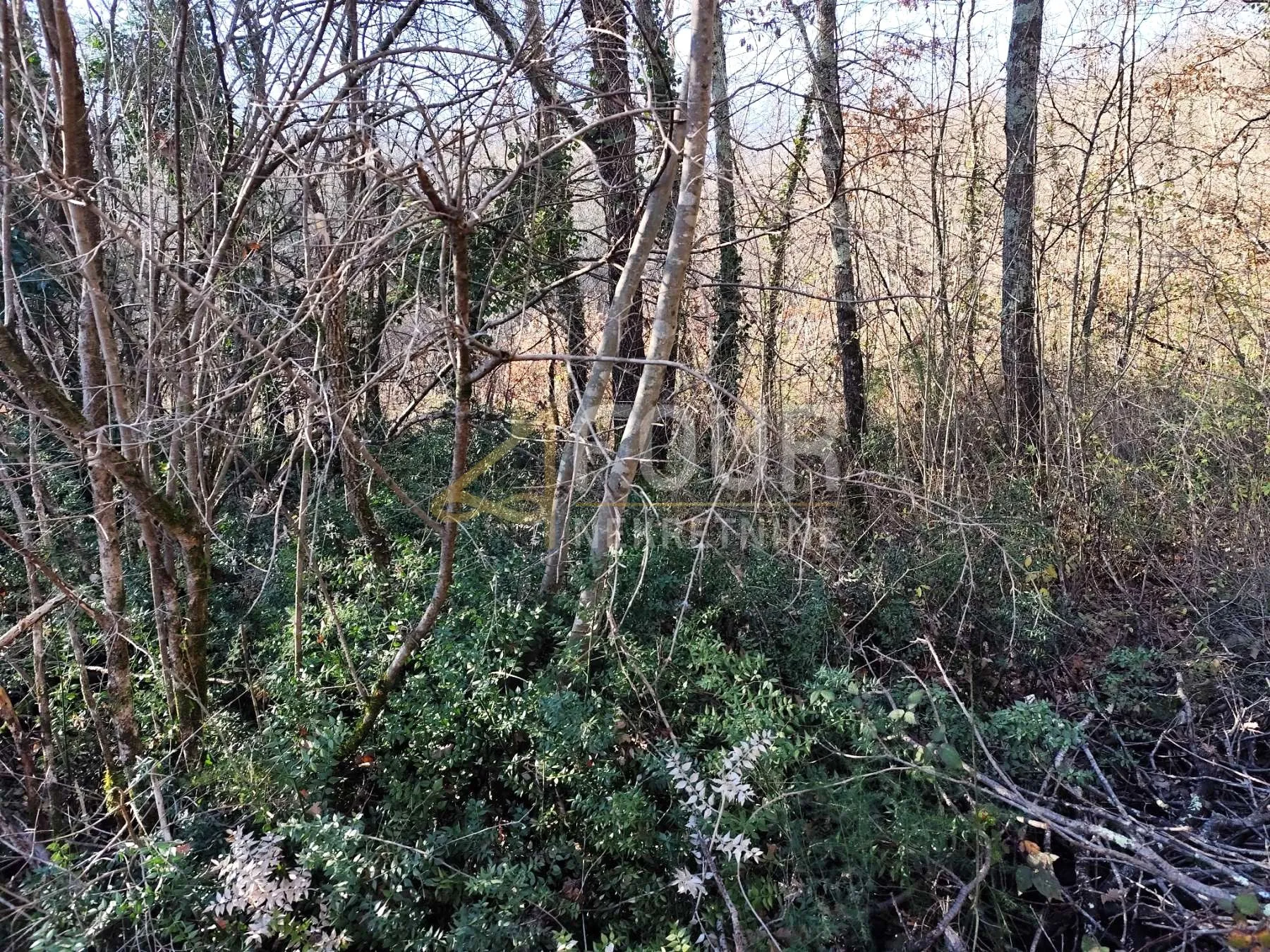 istra, potpićan, građevinsko zemljište, 10.128m2 - slika 2