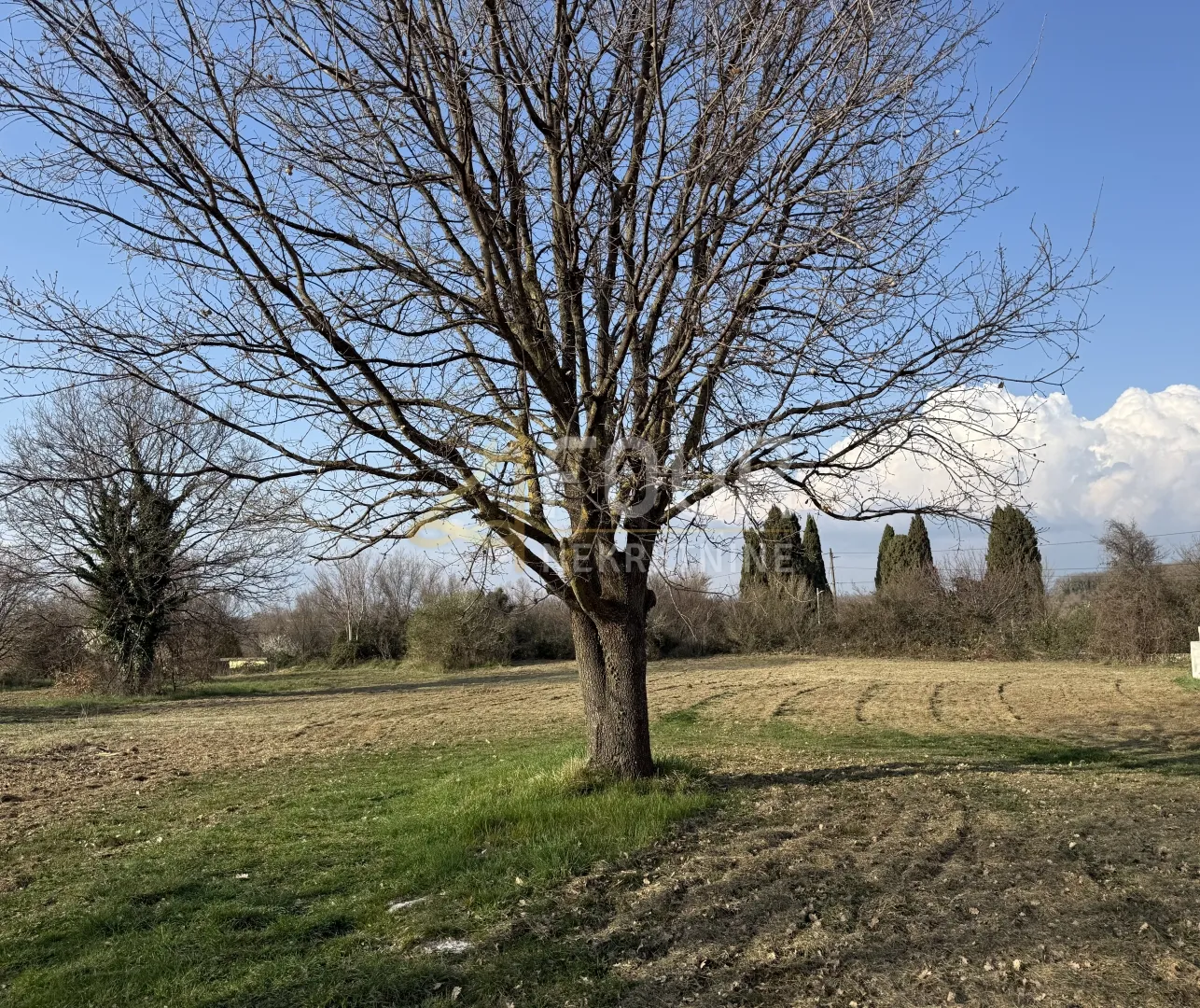 istra, šišan, građevinsko zemljište - slika 2
