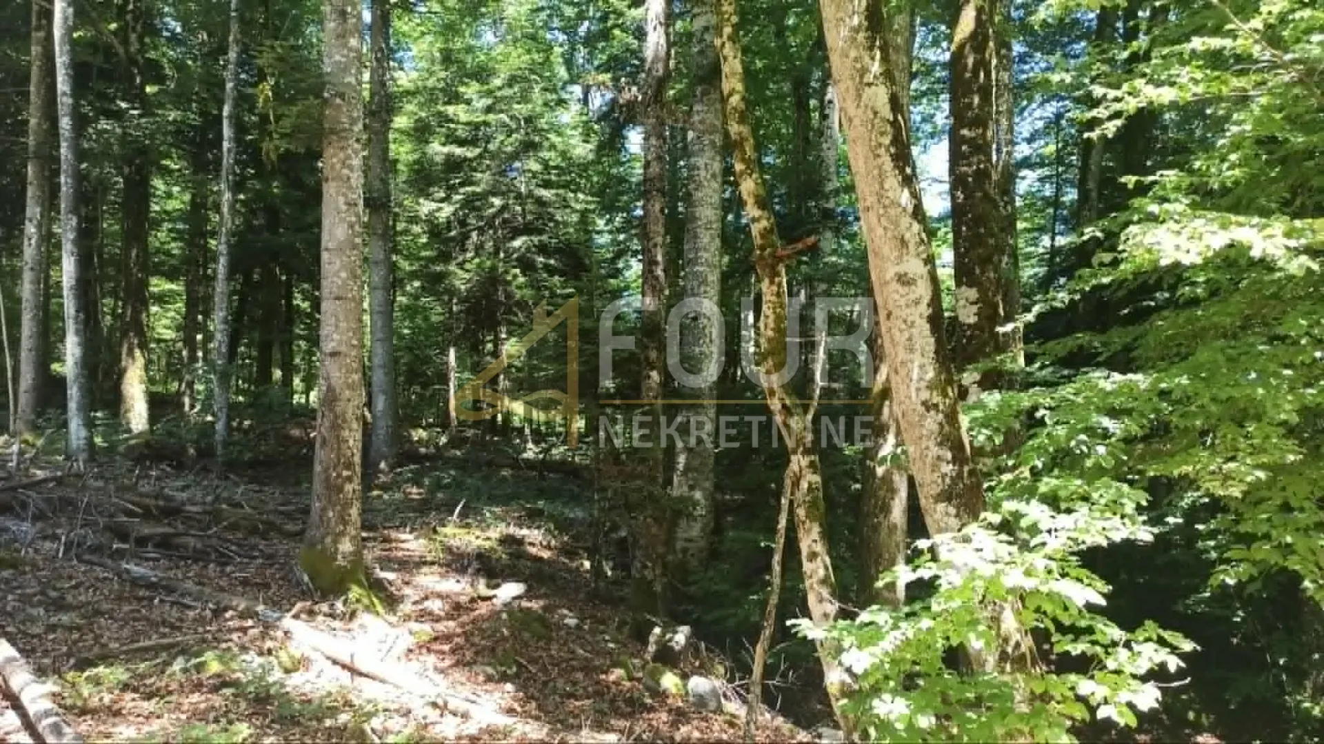 gorski kotar, vrbovsko - okolica, zemljište 17.835m2 - slika 9