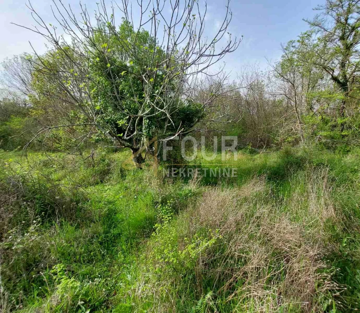 Otok Krk, Šotovento, Milohnići, poljoprivredno zemljište, 1.255m2 - Milohnići, Krk