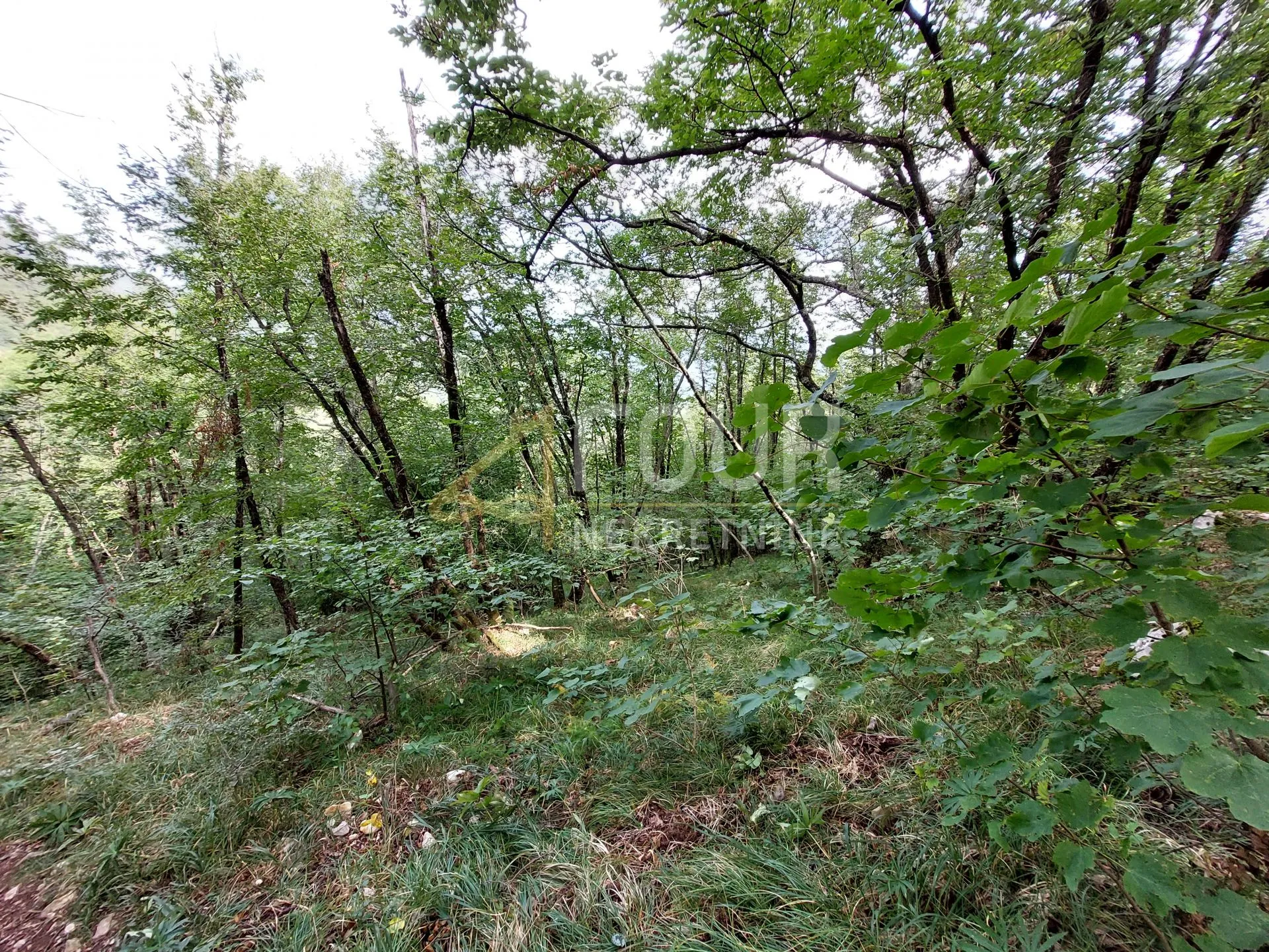 veprinac, poljoprivredno zemljište 4013m2 - slika 3