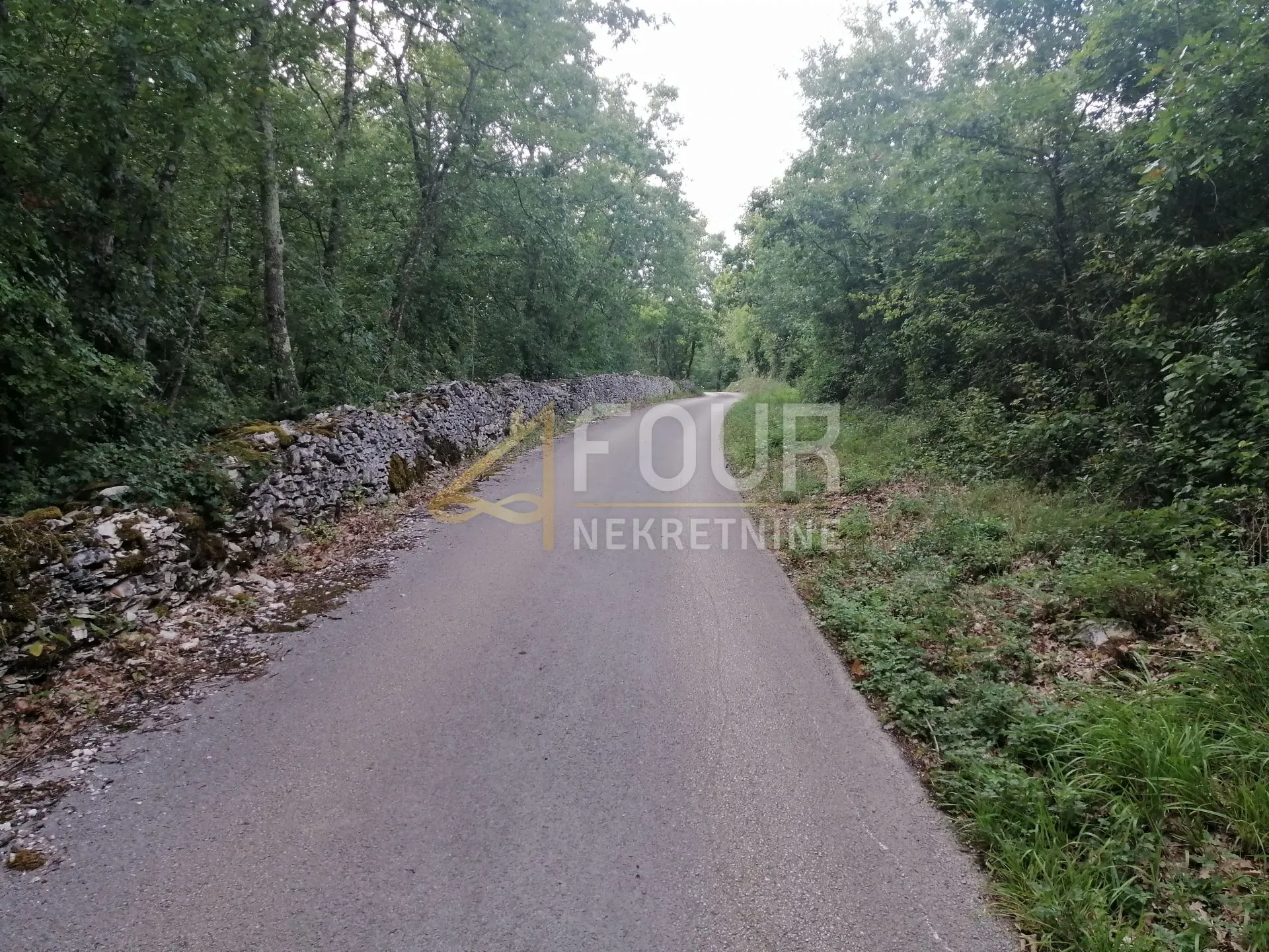 Istra, Kringa, poljoprivredno zemljište 11.979m2 - Kringa, Tinjan
