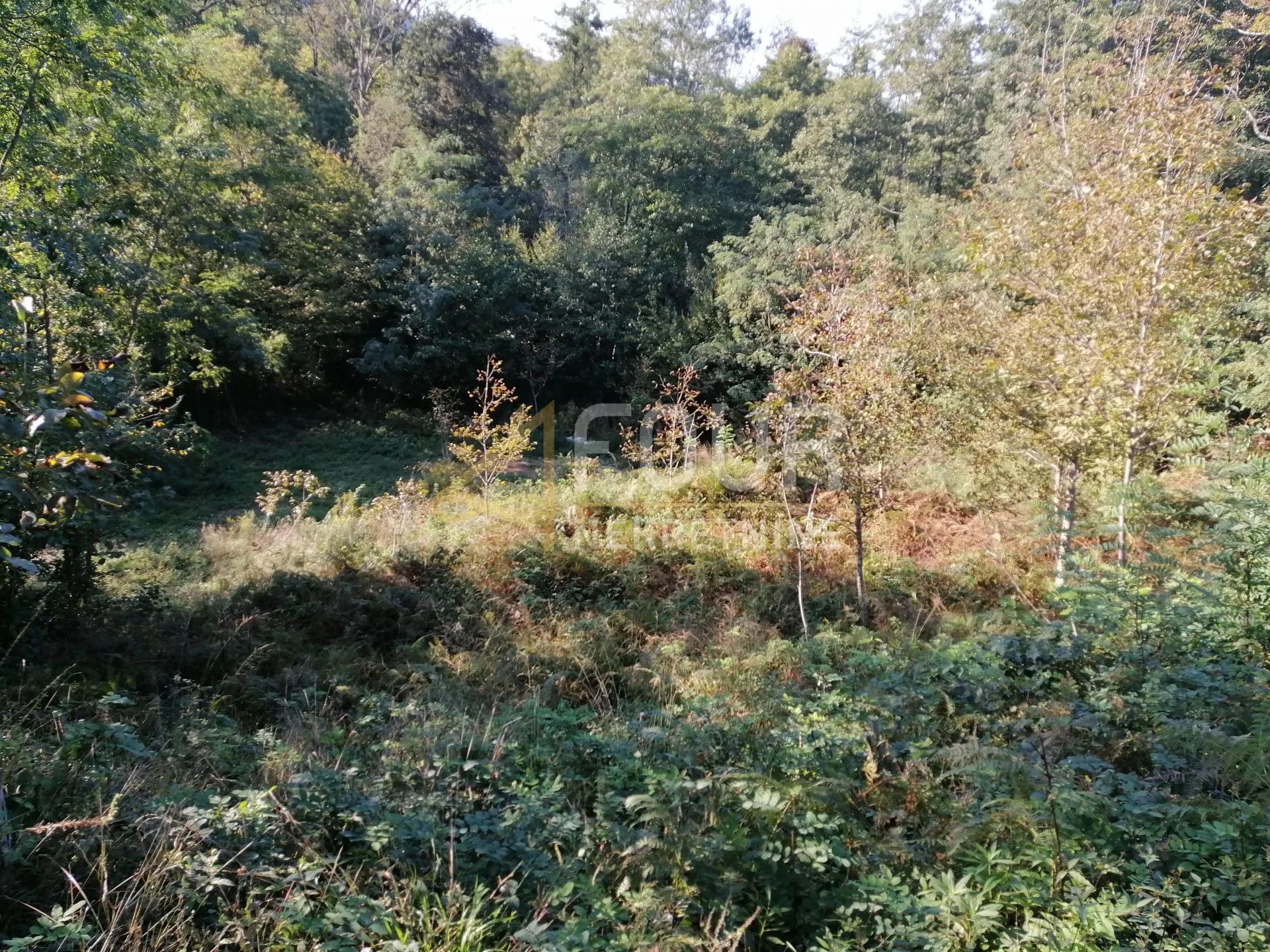 grobnik, poljoprivredno zemljište 2.190m2 - slika 6