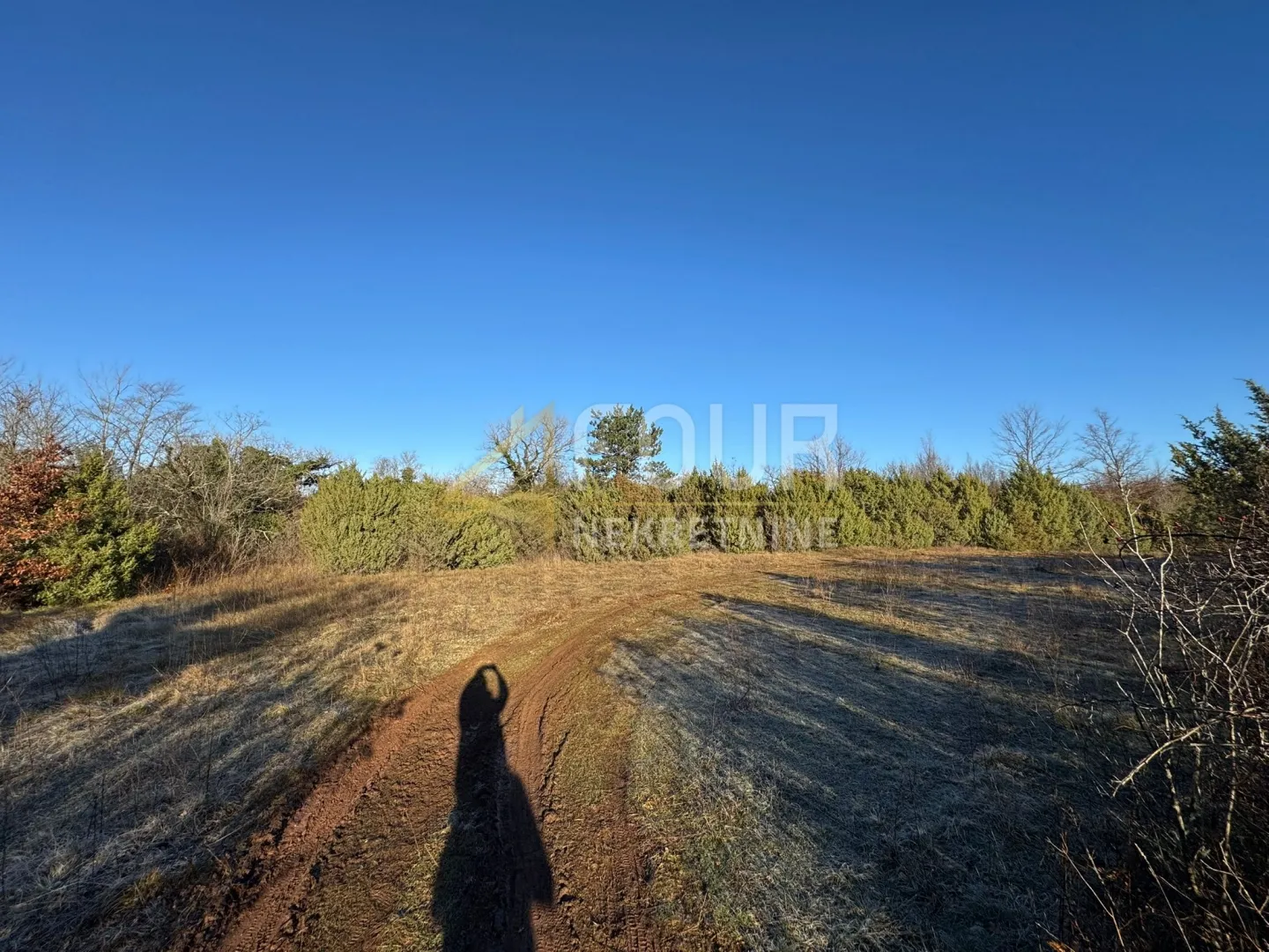 istra, vodnjan, poljoprivredno zemljište, 4.263m2 - slika 7