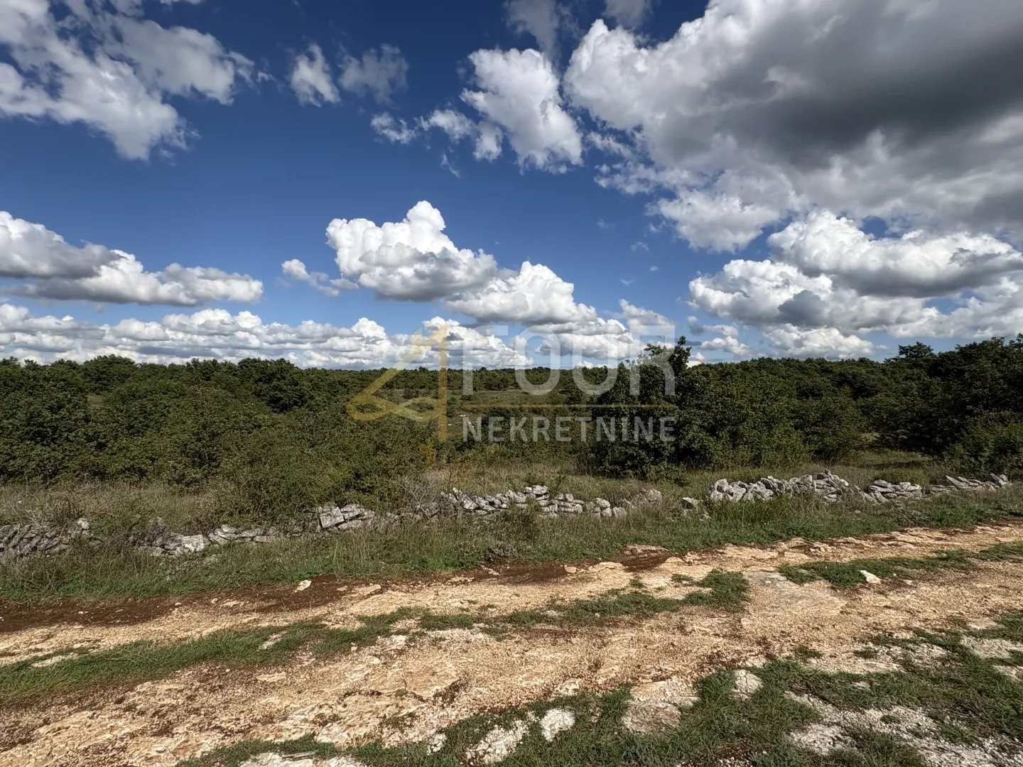 Istra, Svetvinčenat - okolica, poljoprivredno zemljište 2.913m2