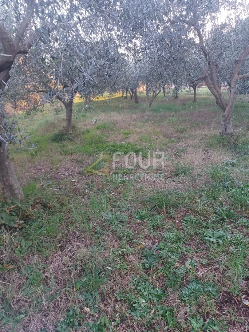istra, marčana, zemljište 3.045m2 - slika 8