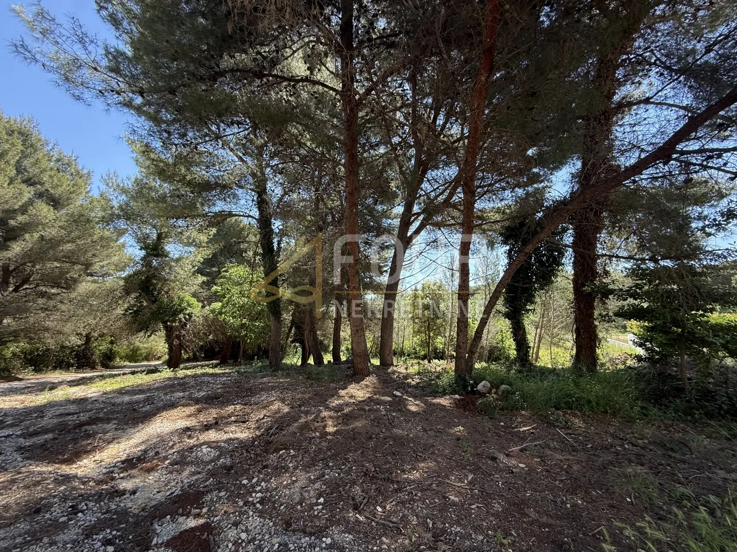 istra, medulin - premantura, zemljište 2.317m2 - slika 3