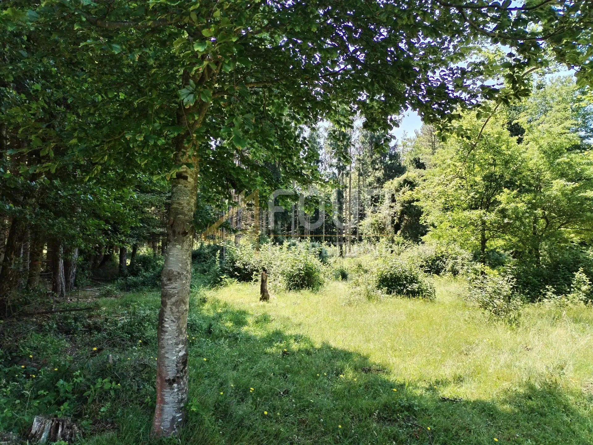 Klana - okolica, poljoprivredno zemljište 1.532m2