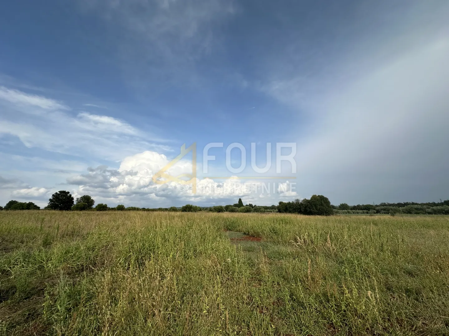 Istra, Tar, građevinsko zemljište, 5.086m2 - Tar, Tar-Vabriga
