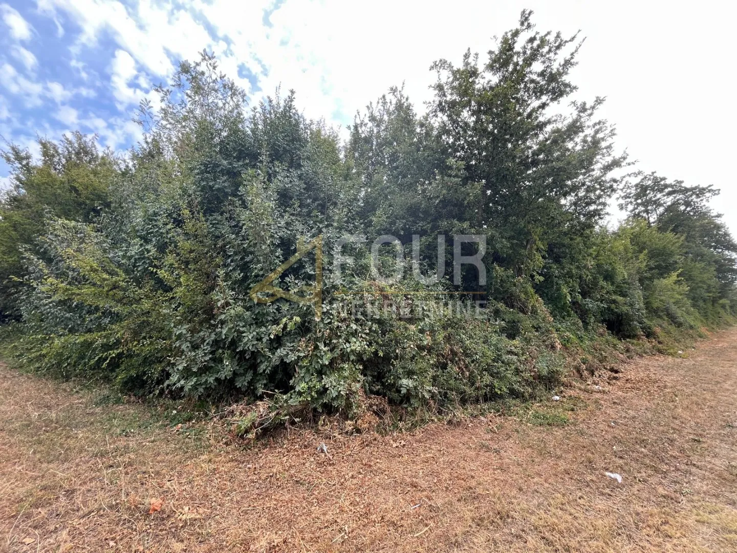 istra, marčana, zemljište - šuma, 4.932m2 - slika 6