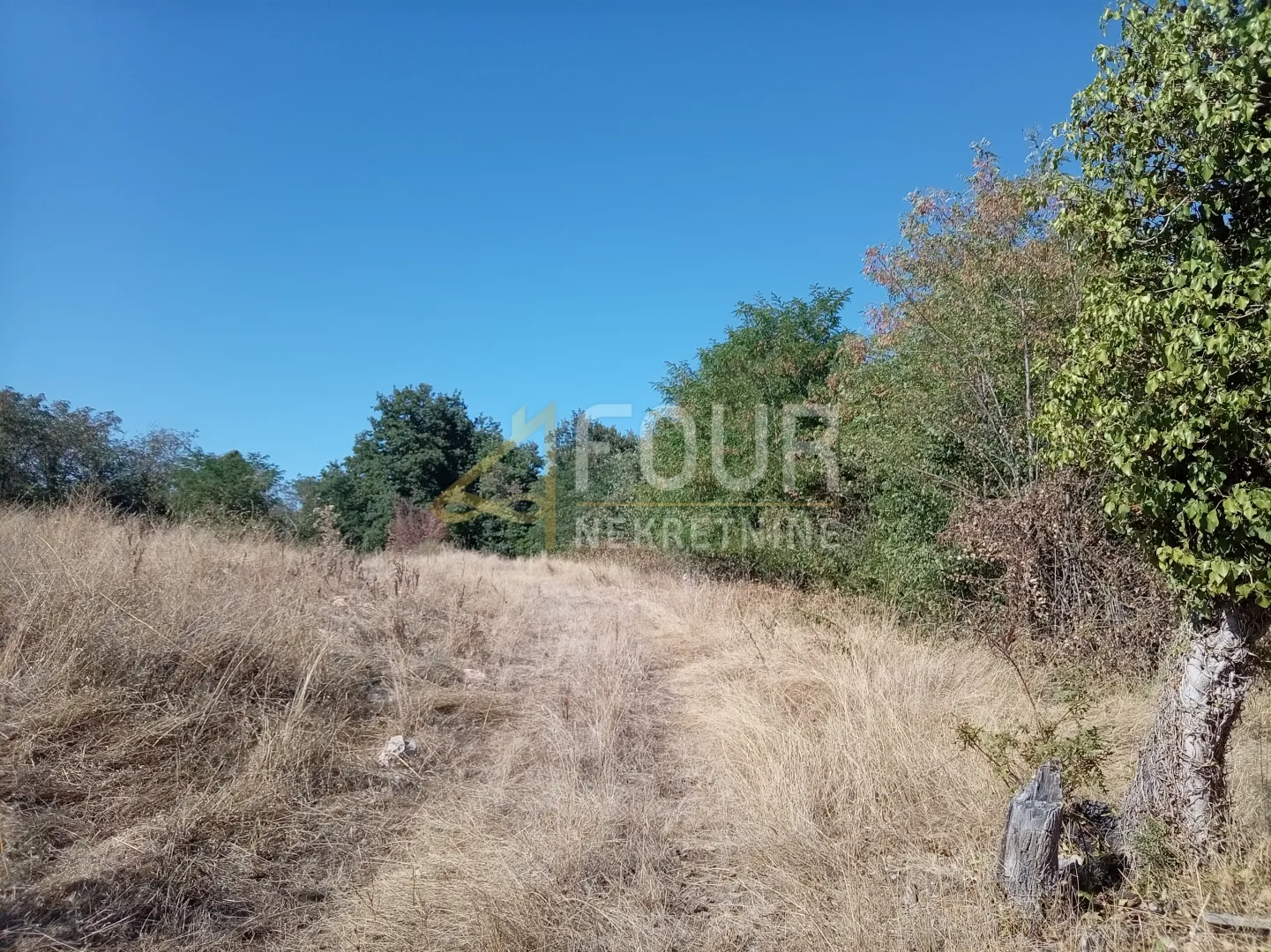 istra, brtonigla, zemljište 5.027m2 - slika 2