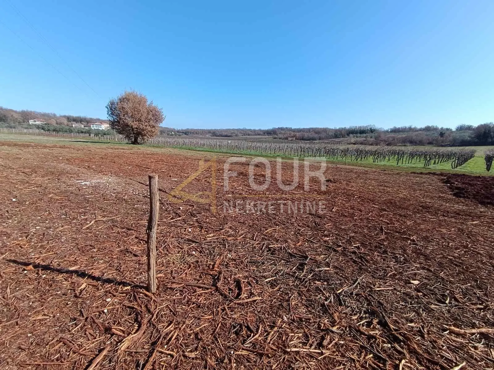 istra, brtonigla, građevinsko zemljište 1.483m2 - slika 4