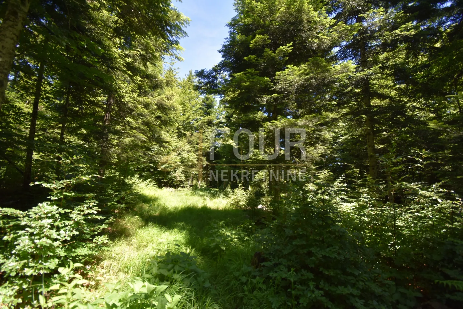gorski kotar, vrbovsko - okolica, zemljište 13.488m2 - slika 5
