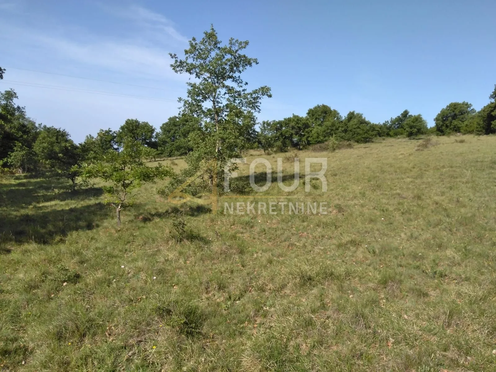 istra, višnjan - okolica, poljoprivredno zemljište 19.190m2 - slika 3