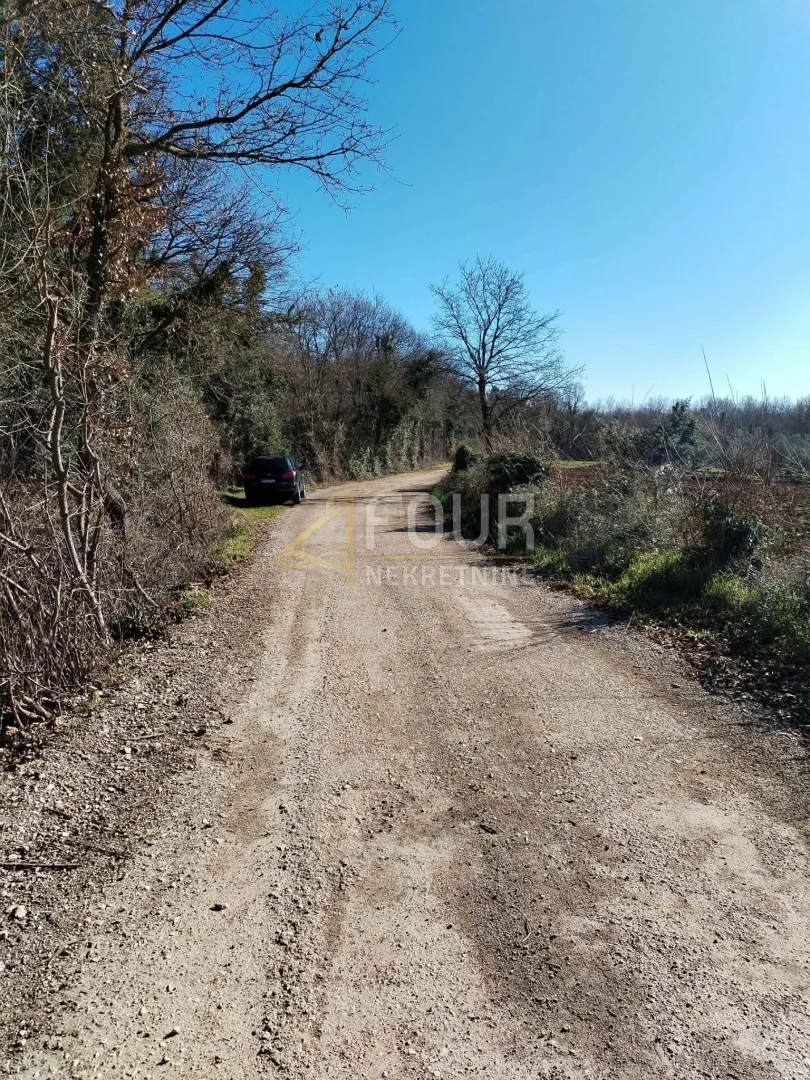 istra, valtura, poljoprivredno zemljište 3.376m2 - slika 6