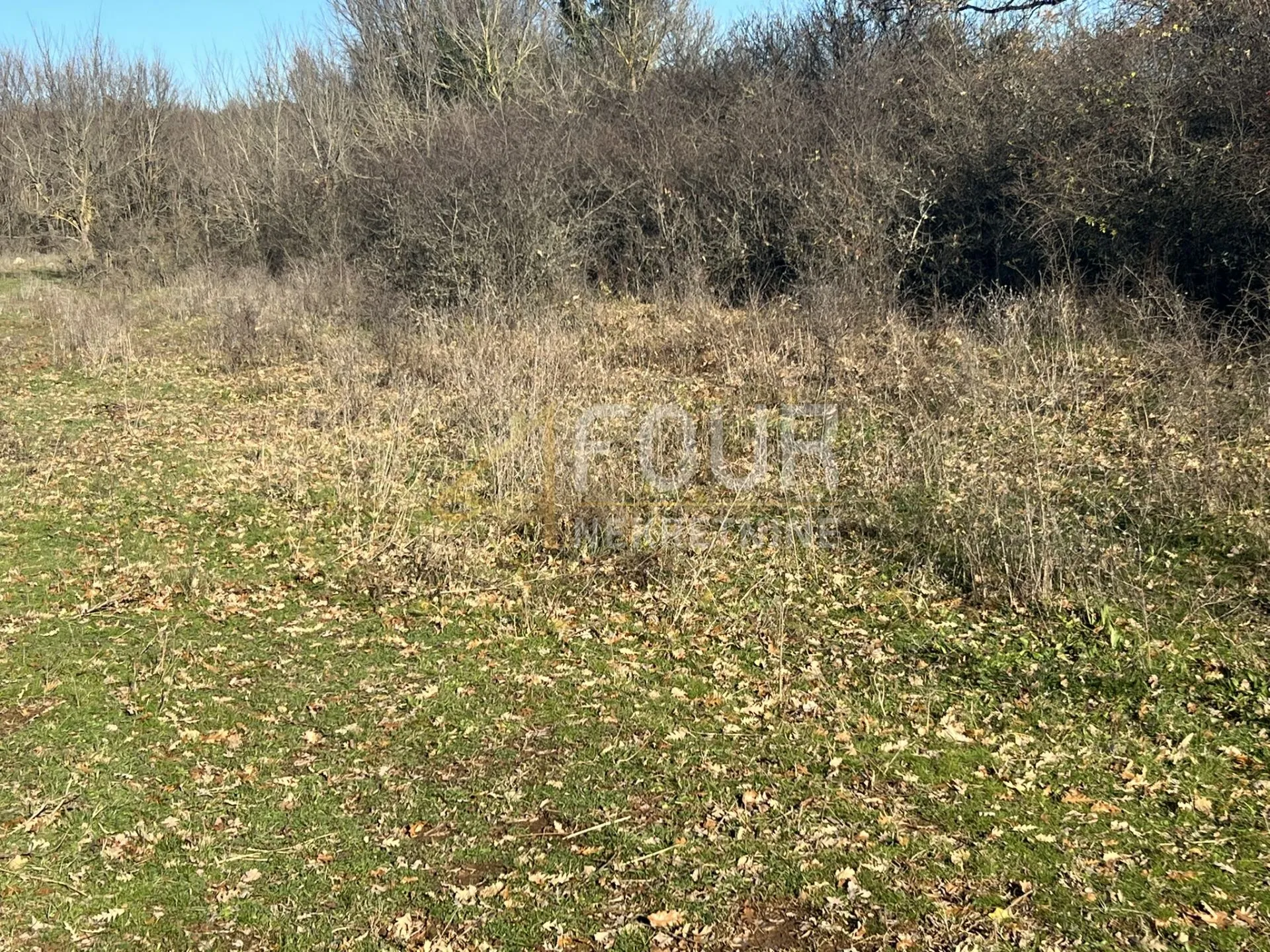 istra, barban, građevinsko zemljište 970m2 - slika 2