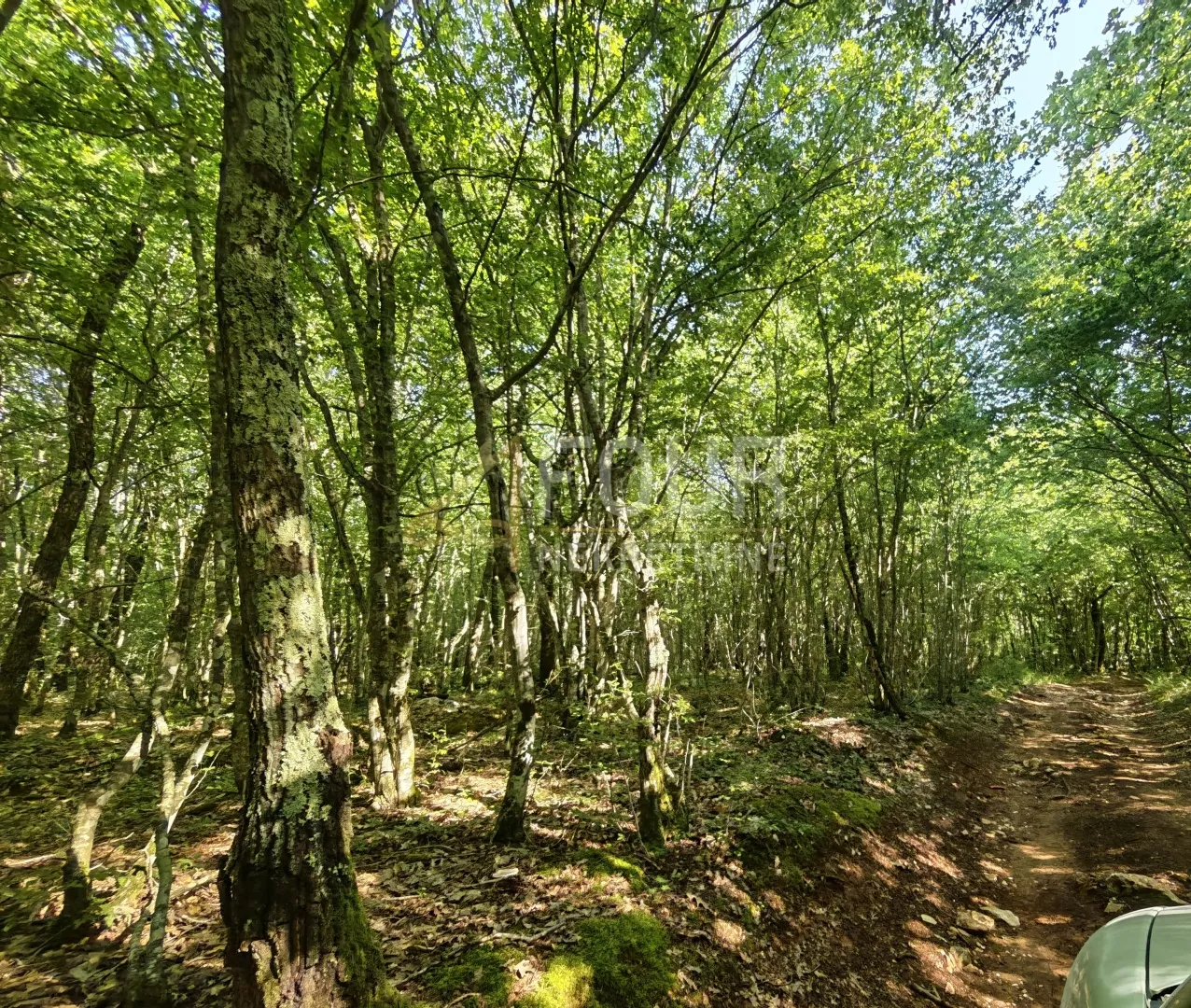 Istra, Svetvinčenat - okolica, poljoprivredno zemljište, 6122m2