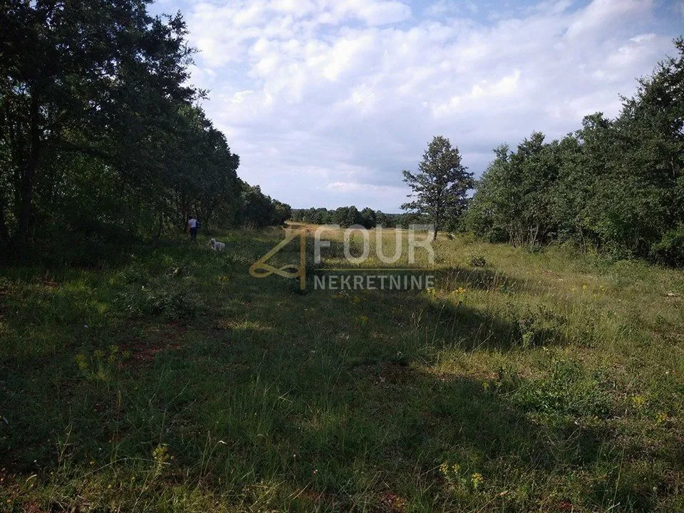 istra, svetvinčenat, poljoprivredno zemljište 8.700m2 - slika 12
