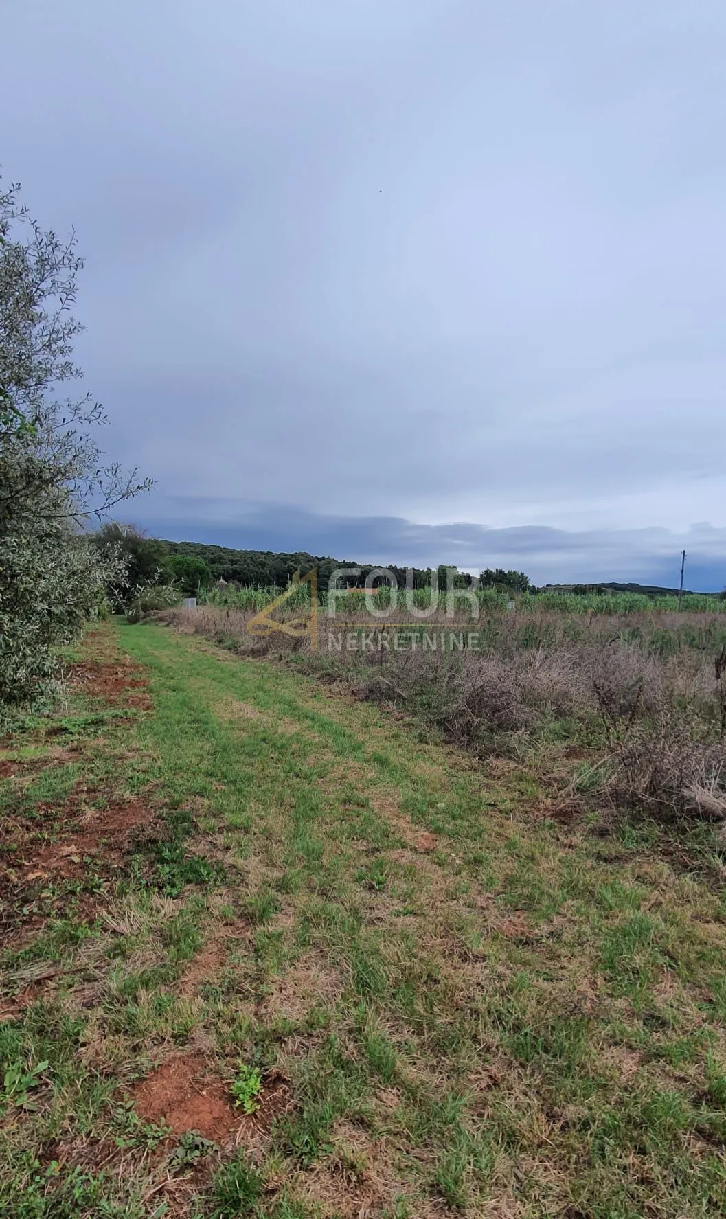 istra, rovinj, poljoprivredno zemljište 5000m2 - slika 3