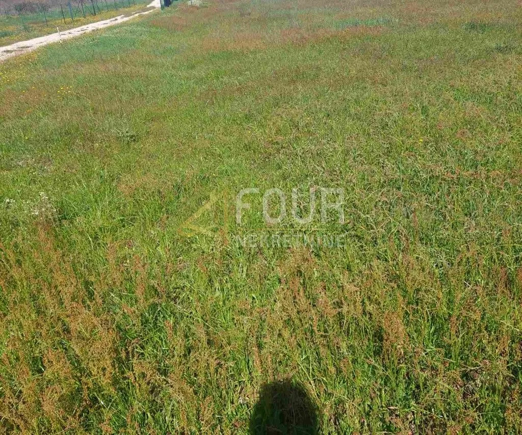 Istra, Valtura, poljoprivredno zemljište 501m2 - Valtura, Ližnjan