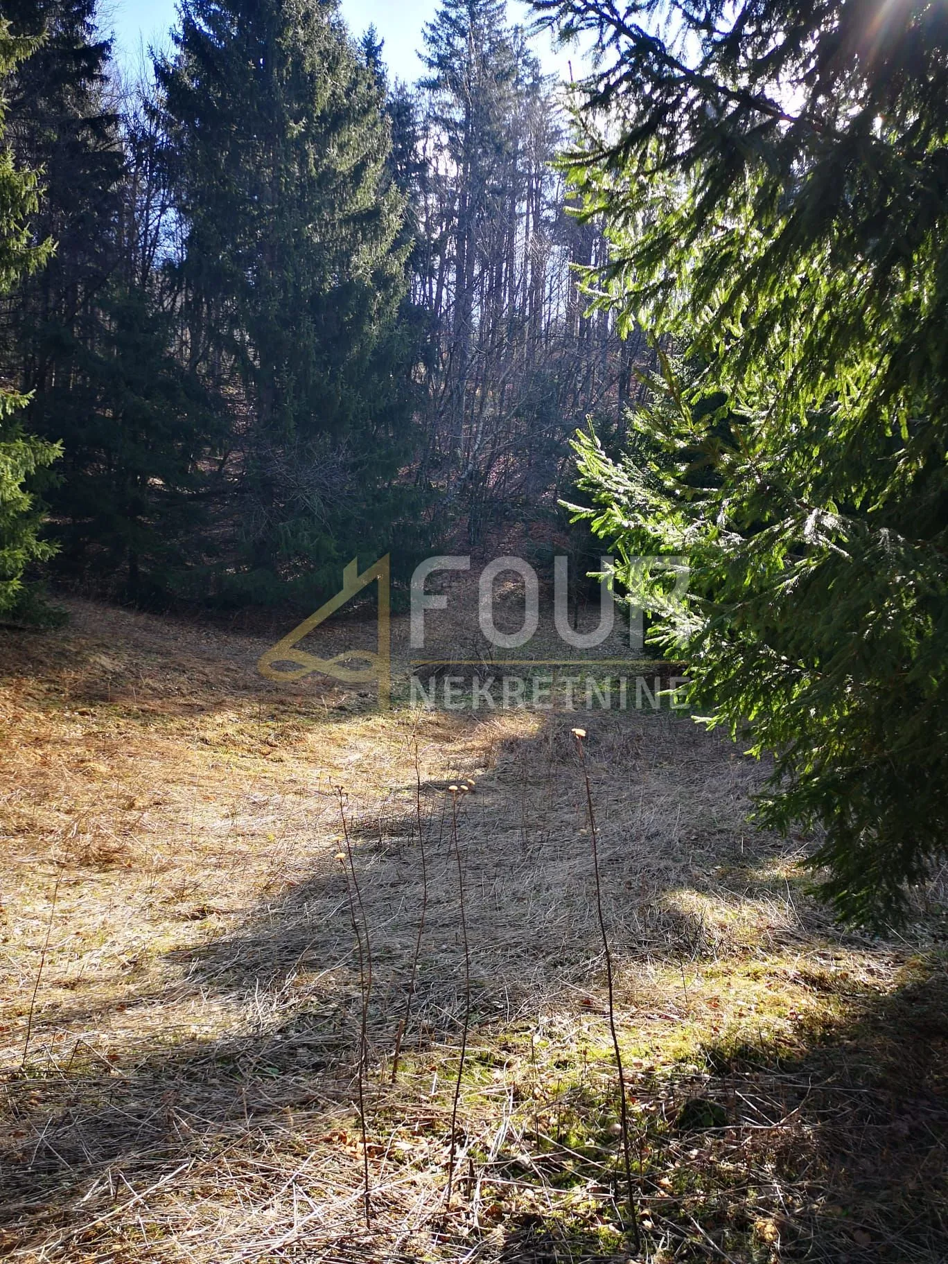 gorski kotar, lokve, poljoprivredno zemljište 22.210m2 - slika 5