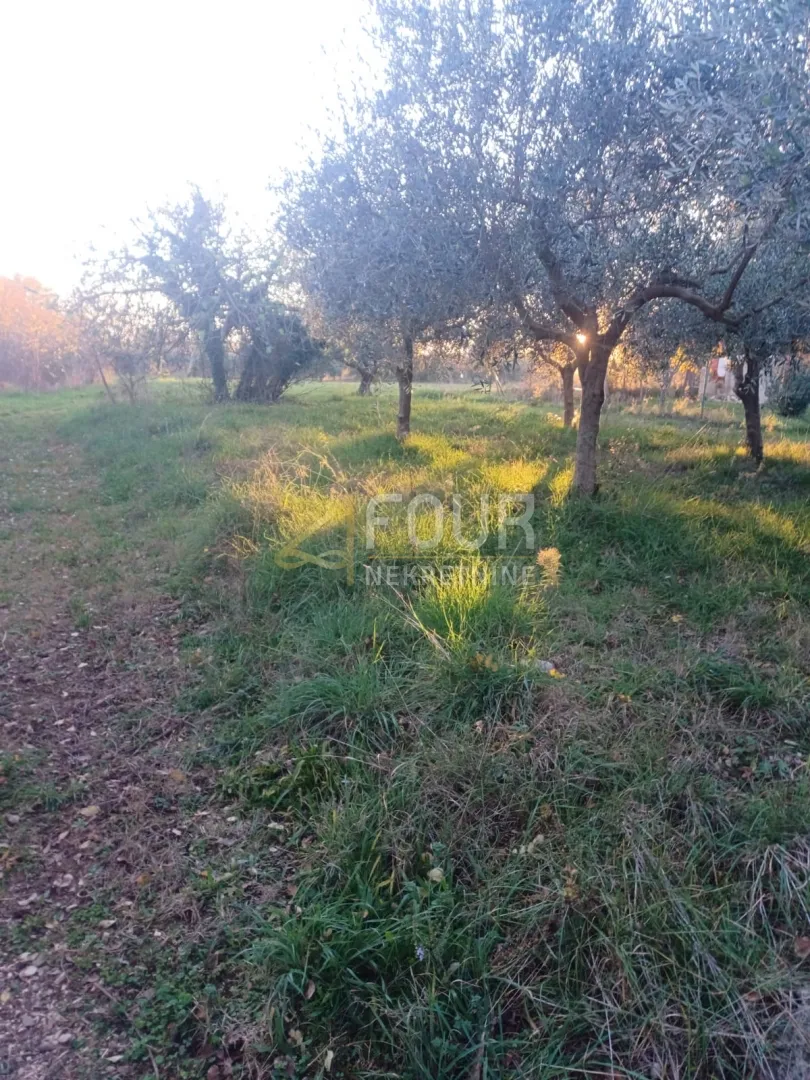 istra, marčana, zemljište 3.045m2 - slika 7