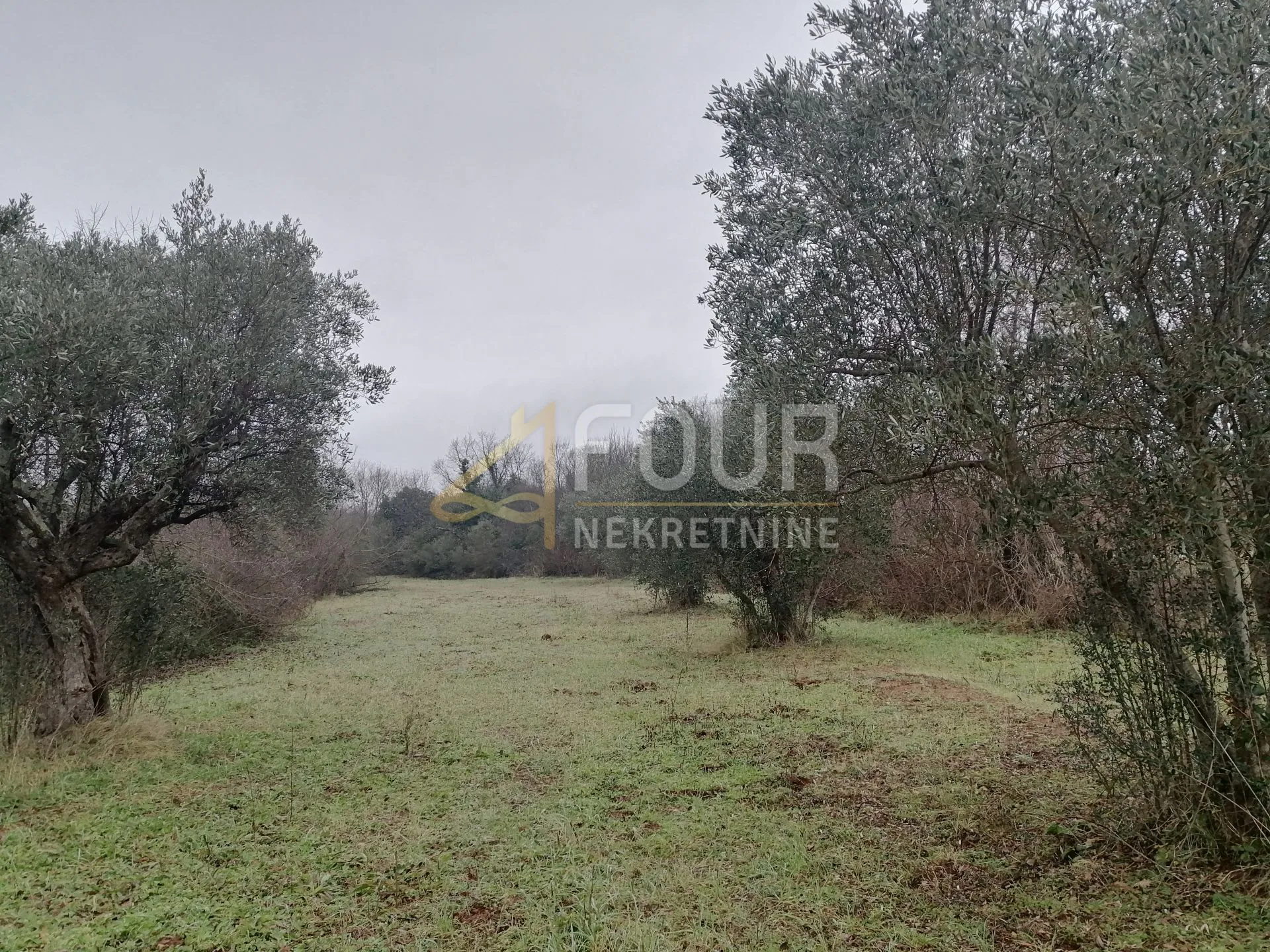istra, bale, poljoprivredno zamljište, 3.060m2 - slika 5