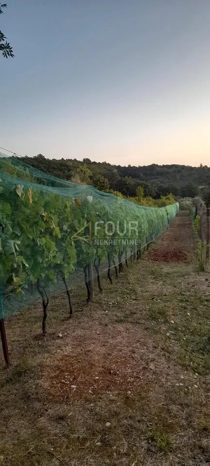 istra, labin, imanje - starina i velika okućnica - slika 3