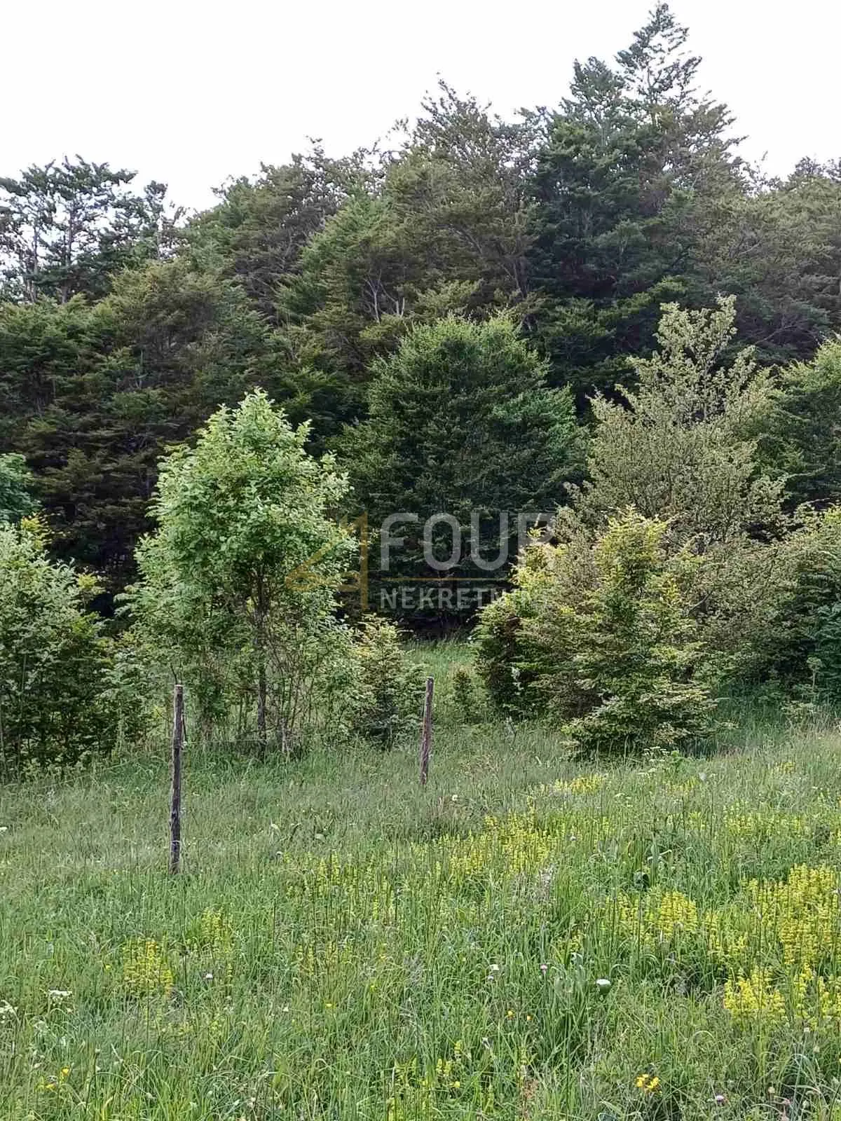 bakar, zlobin, poljoprivredno zemljište 7.460m2 - slika 2