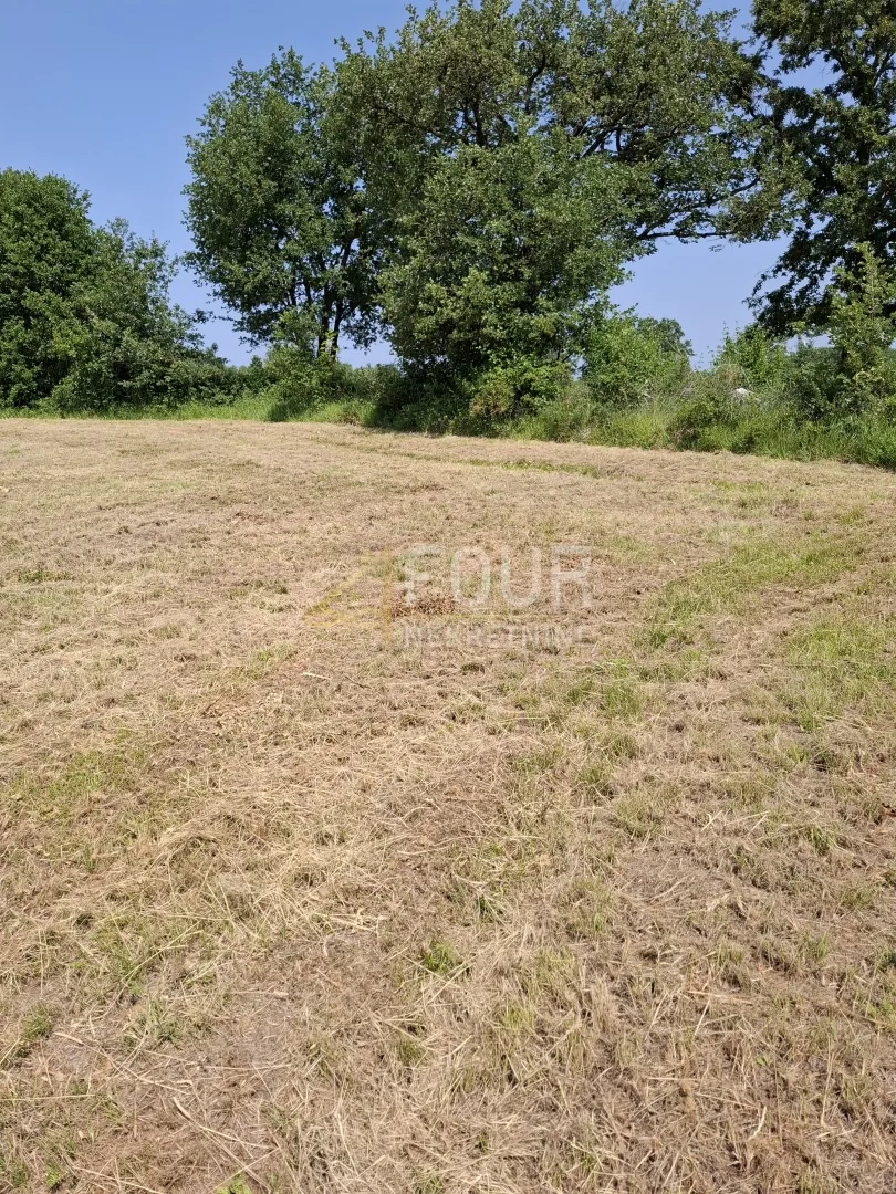 Istra, Baderna, poljoprivredo zemljište, 4.122m2 - Baderna, Poreč