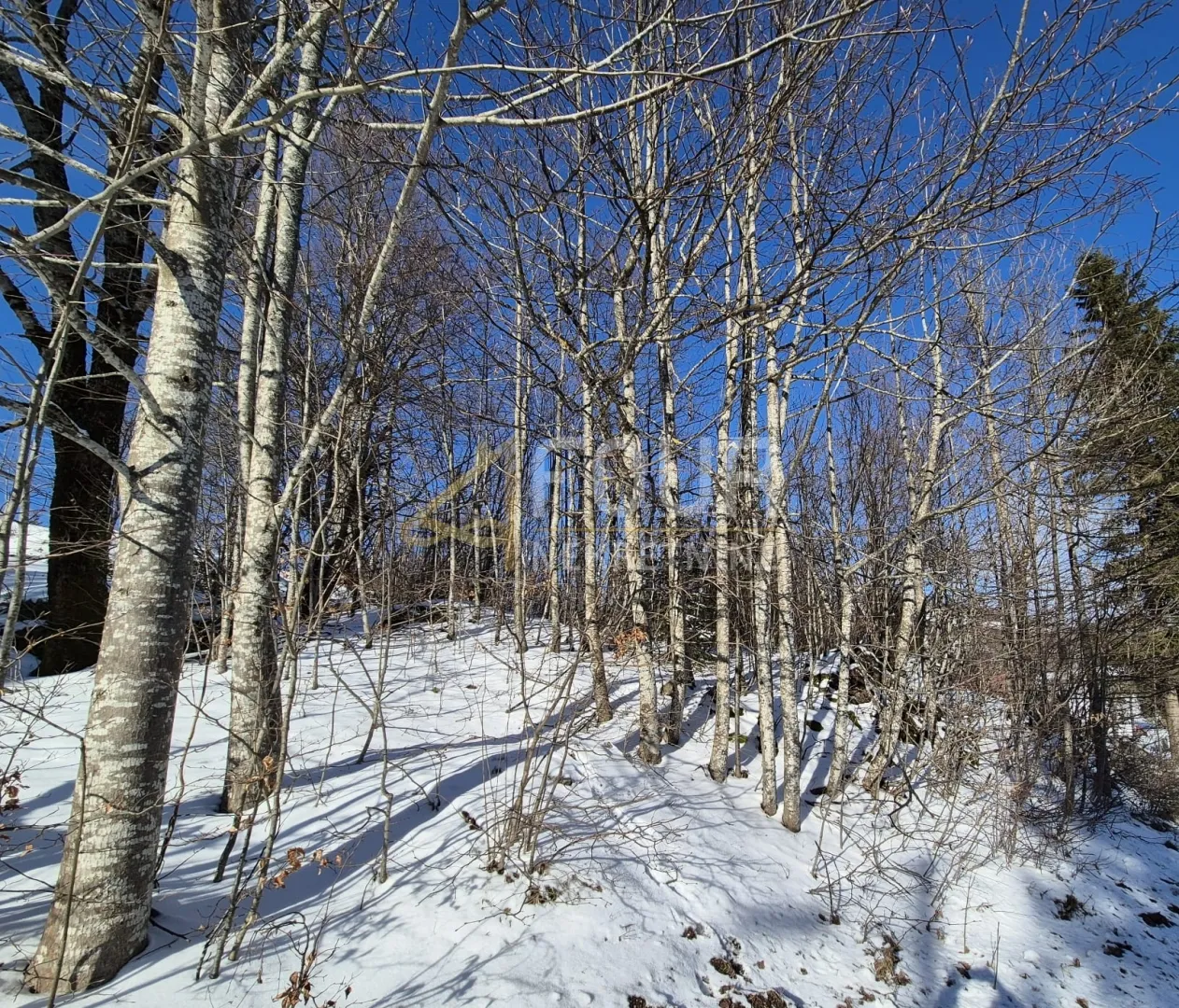 gorski kotar, stari laz, 766m2, građevinsko zemljište - slika 5