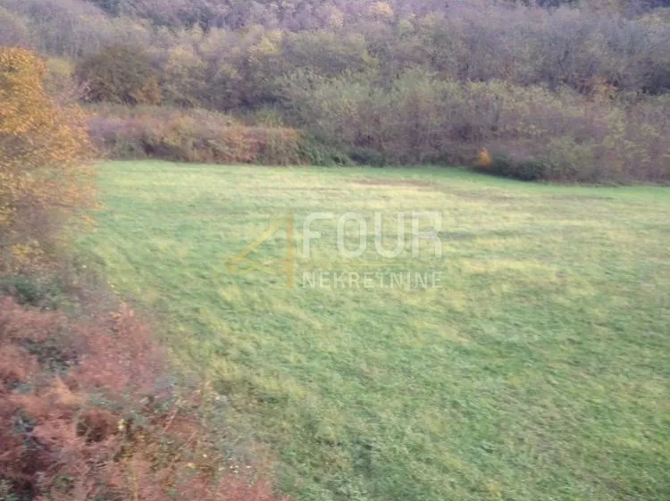 istra, kanfanar, poljoprivredno zemljište 13.270m2 - slika 3
