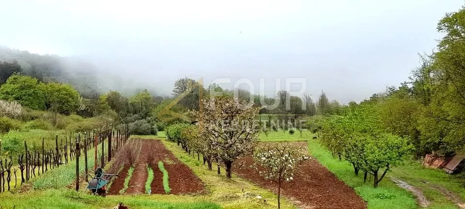 Istra, Labin, imanje - starina i velika okućnica