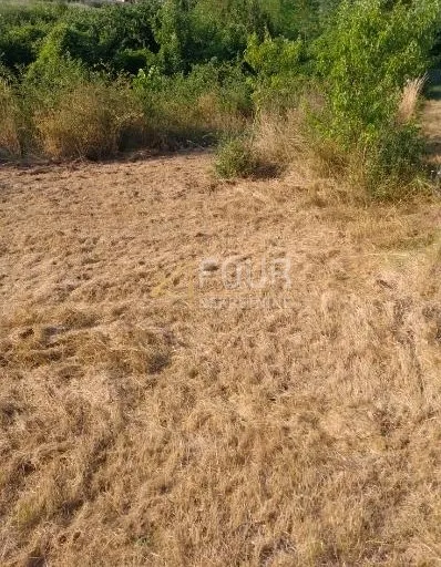 istra, buzet, građevinsko zemljište, 1.441m2 - slika 4