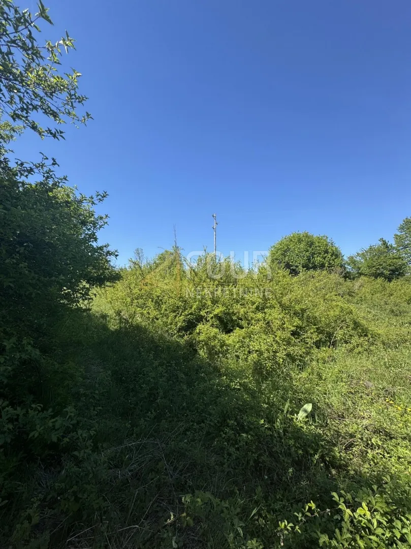 Vrbovsko - Gomirje, zemljište od 2.294m2, građevinsko+poljoprivredno - Gomirje, Vrbovsko