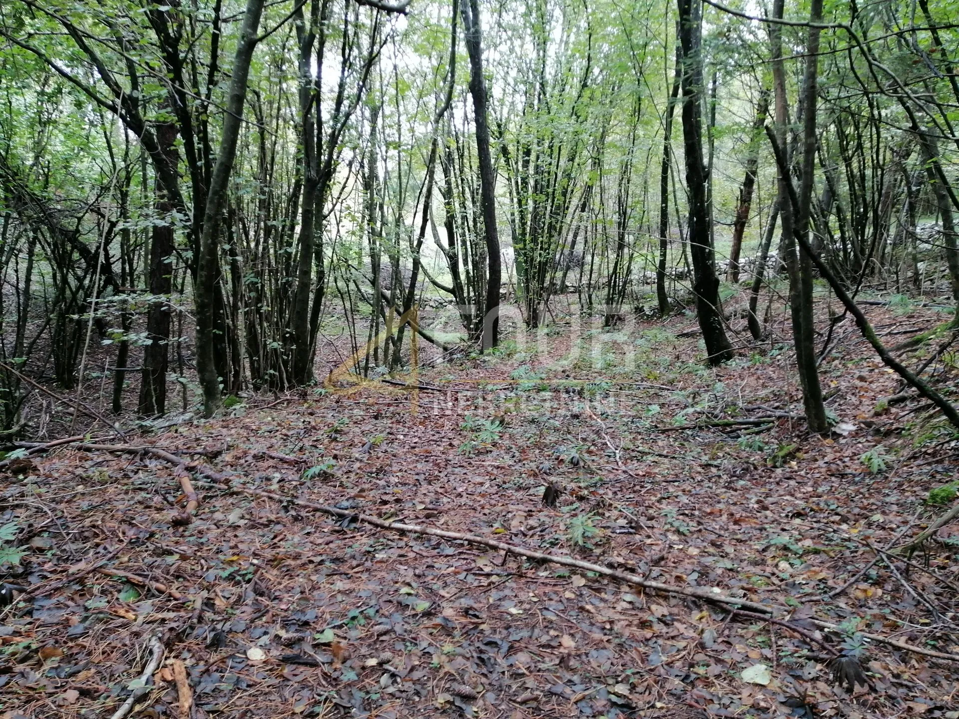 Klana, građevinsko zemljište 3.690m2