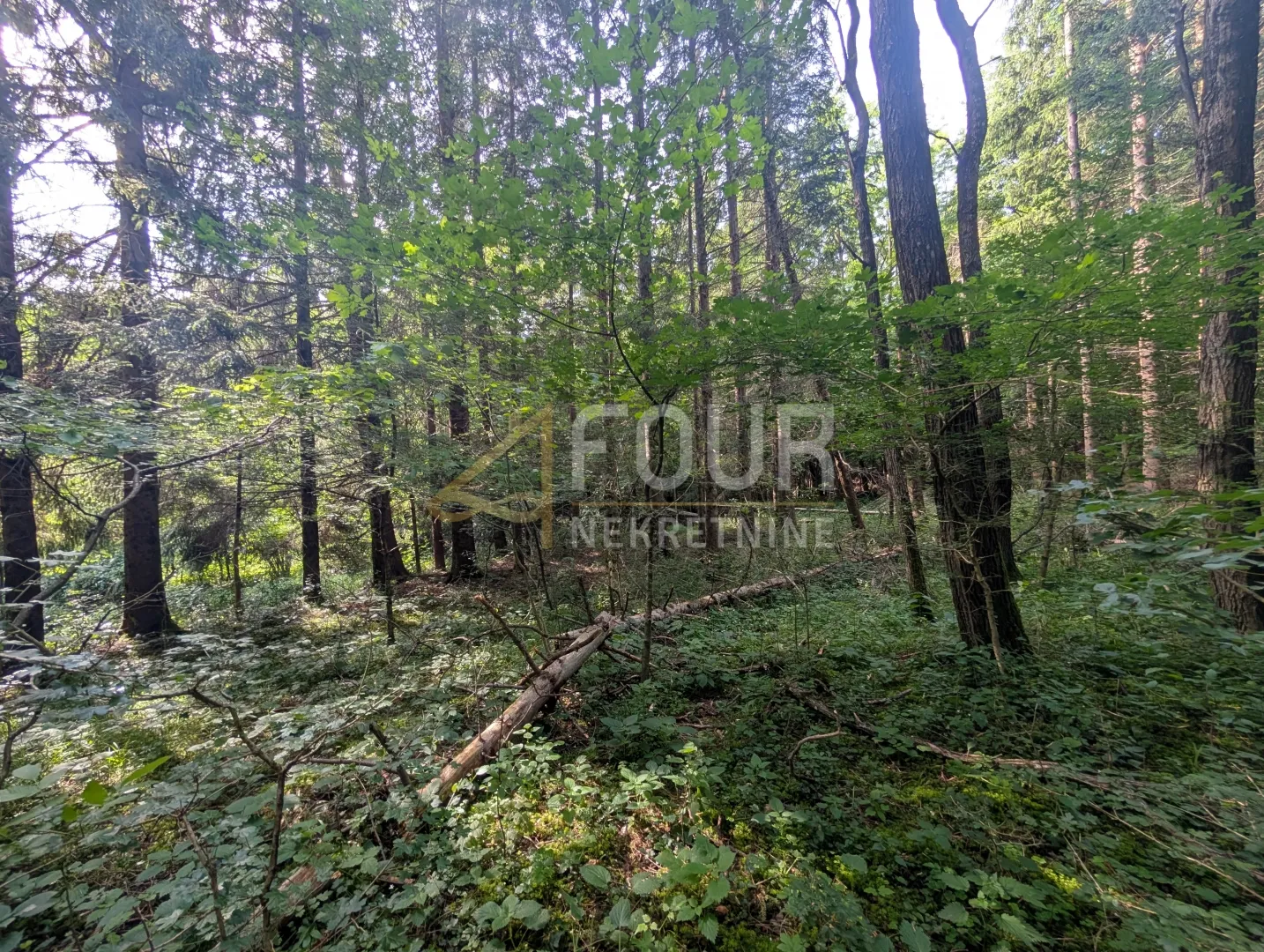 klana, poljoprivredno zemljište 1.908m2 - slika 5