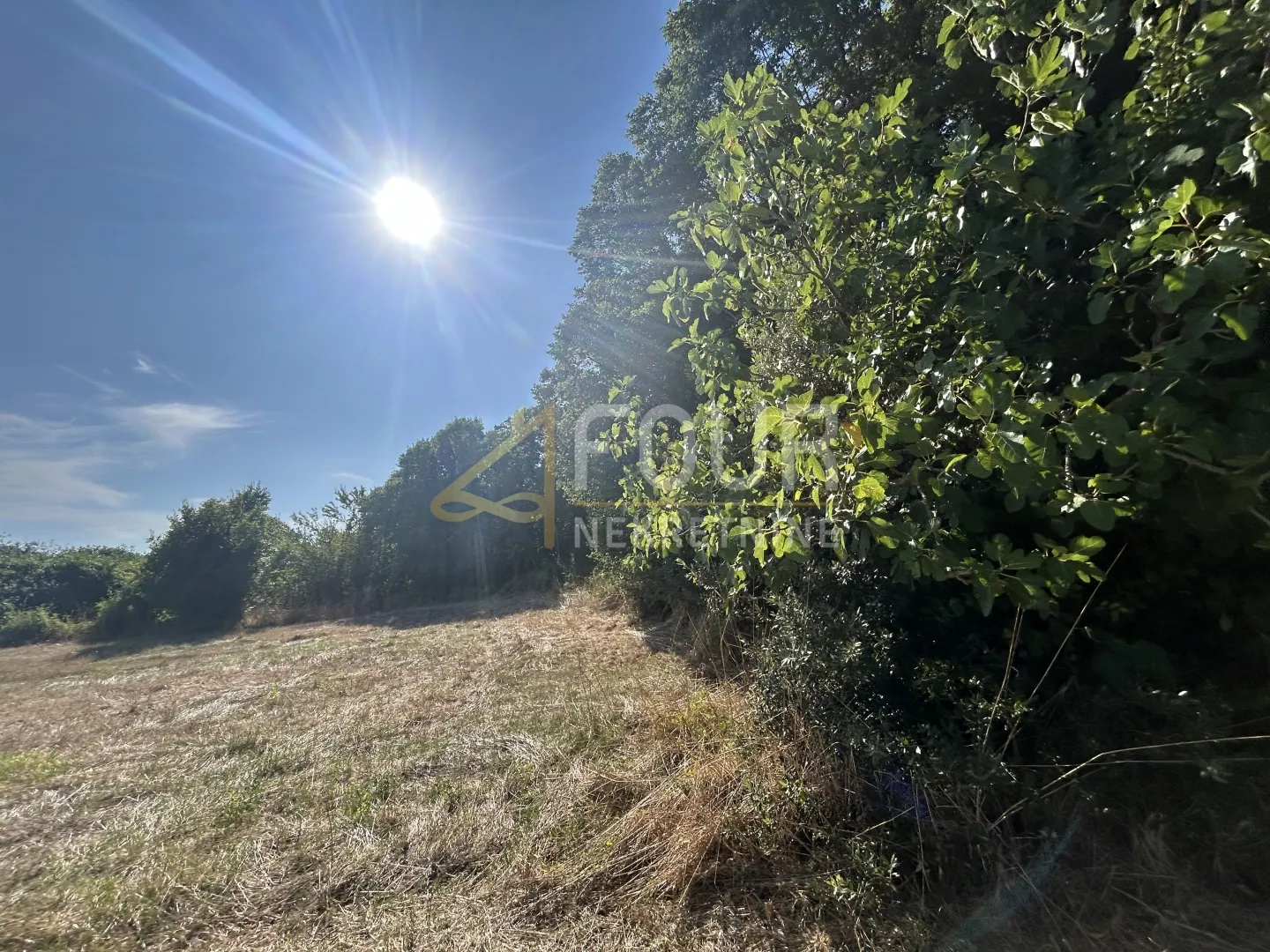 istra, vintijan, 2.500m2, poljoprivredno zemljište - slika 3