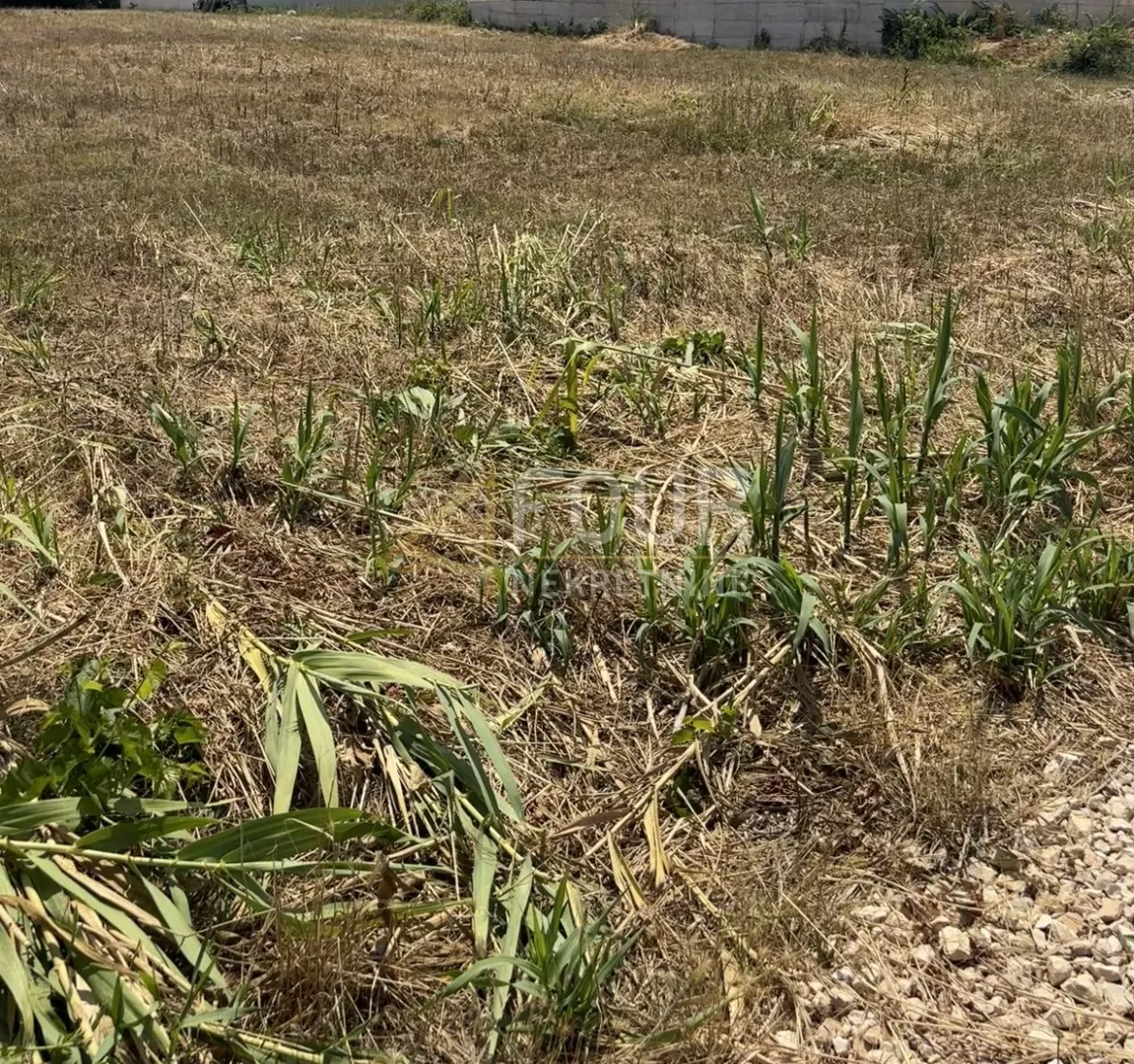 zadar, privlaka, građevinsko zemljište 2.513m2 - slika 3