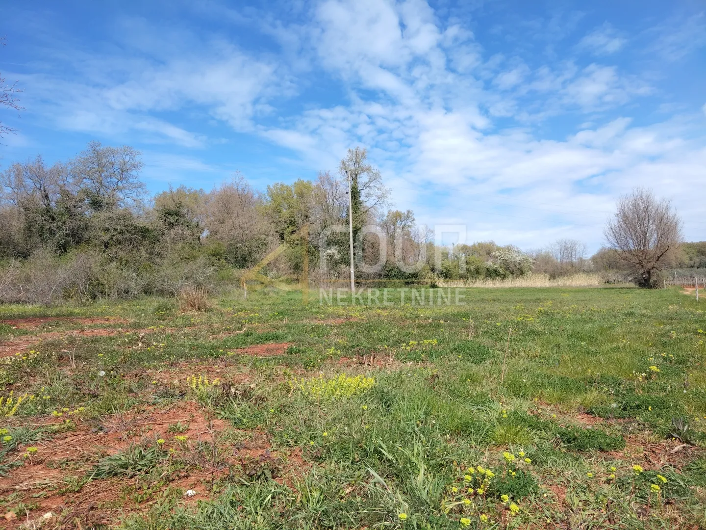 Istra, Brtonigla, građevinsko zemljište 1.483m2