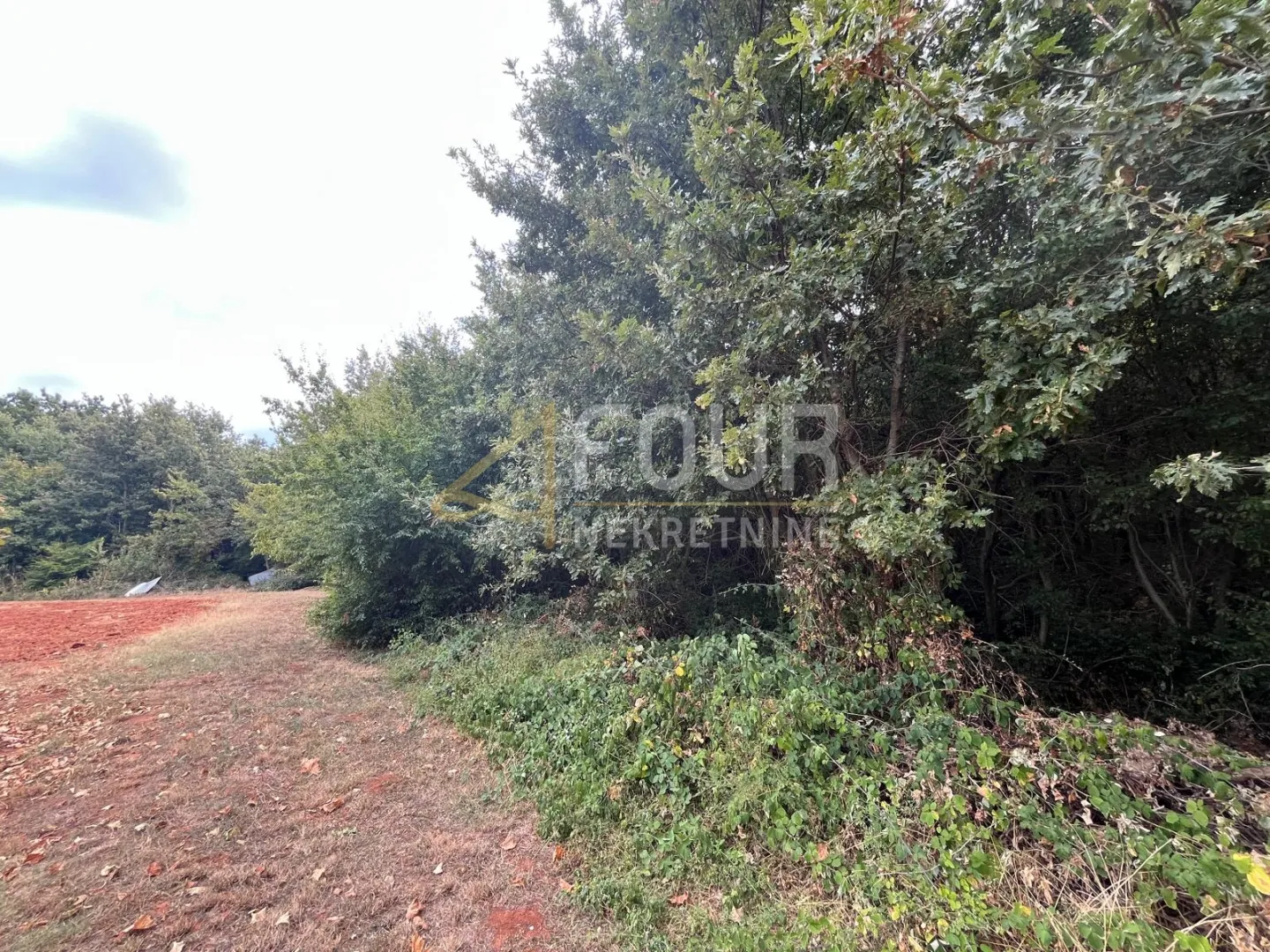 istra, marčana, zemljište - šuma, 4.932m2 - slika 3