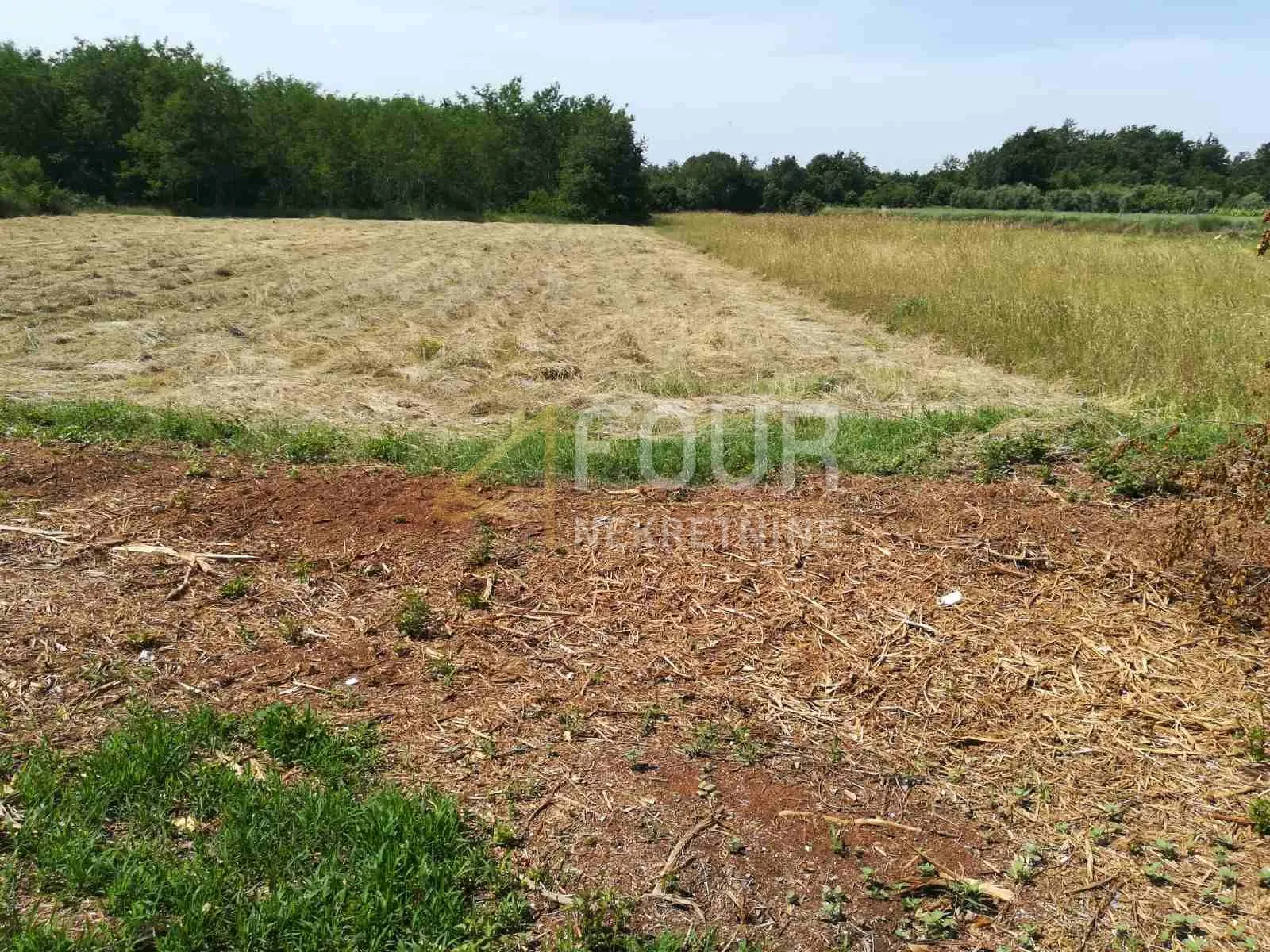Istra, Krnica, poljoprivredno zemljište 4900m2 - Krnica, Marčana